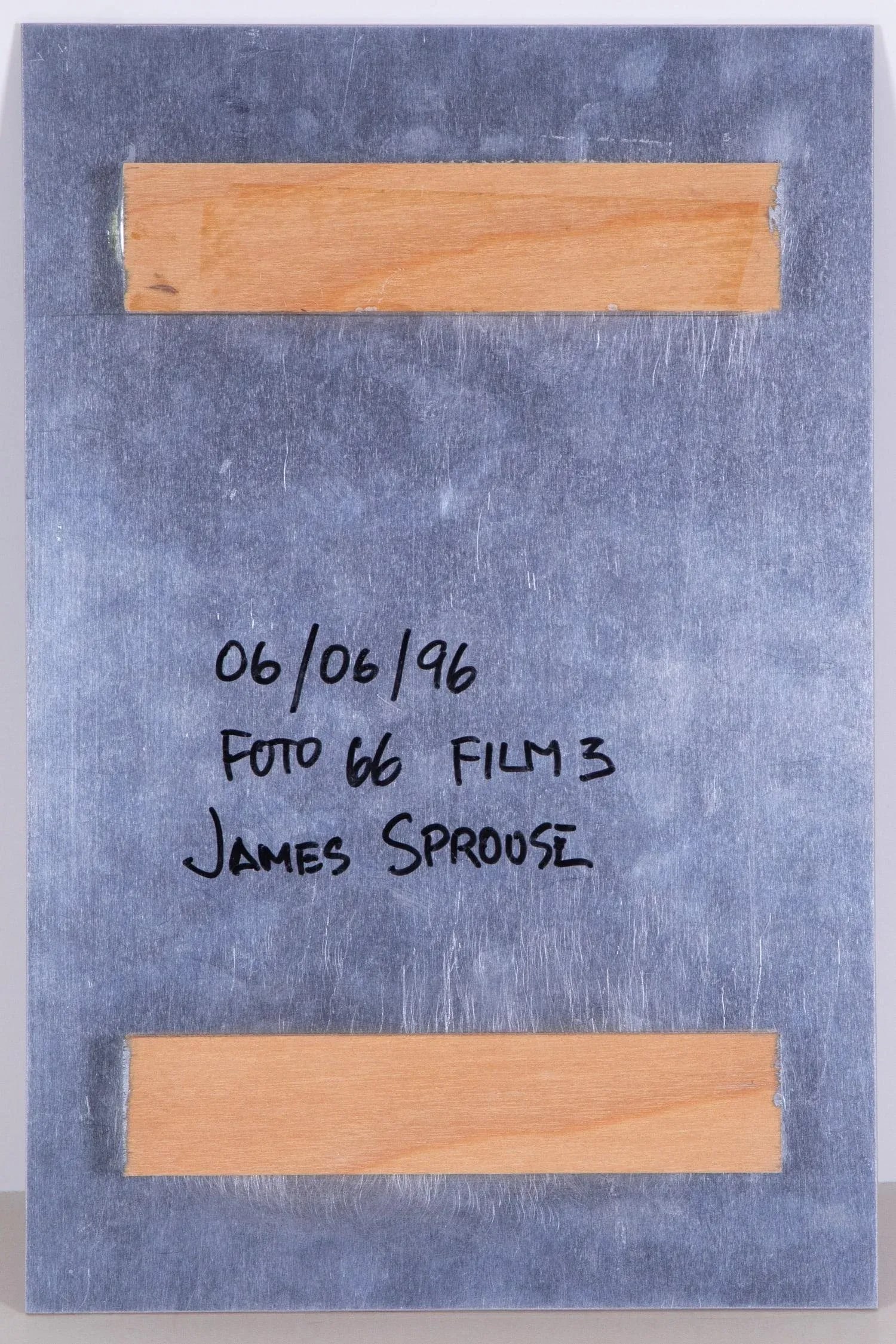 Original Signed James Sprouse "Bird" 1996 Color Photograph on Aluminum - 2