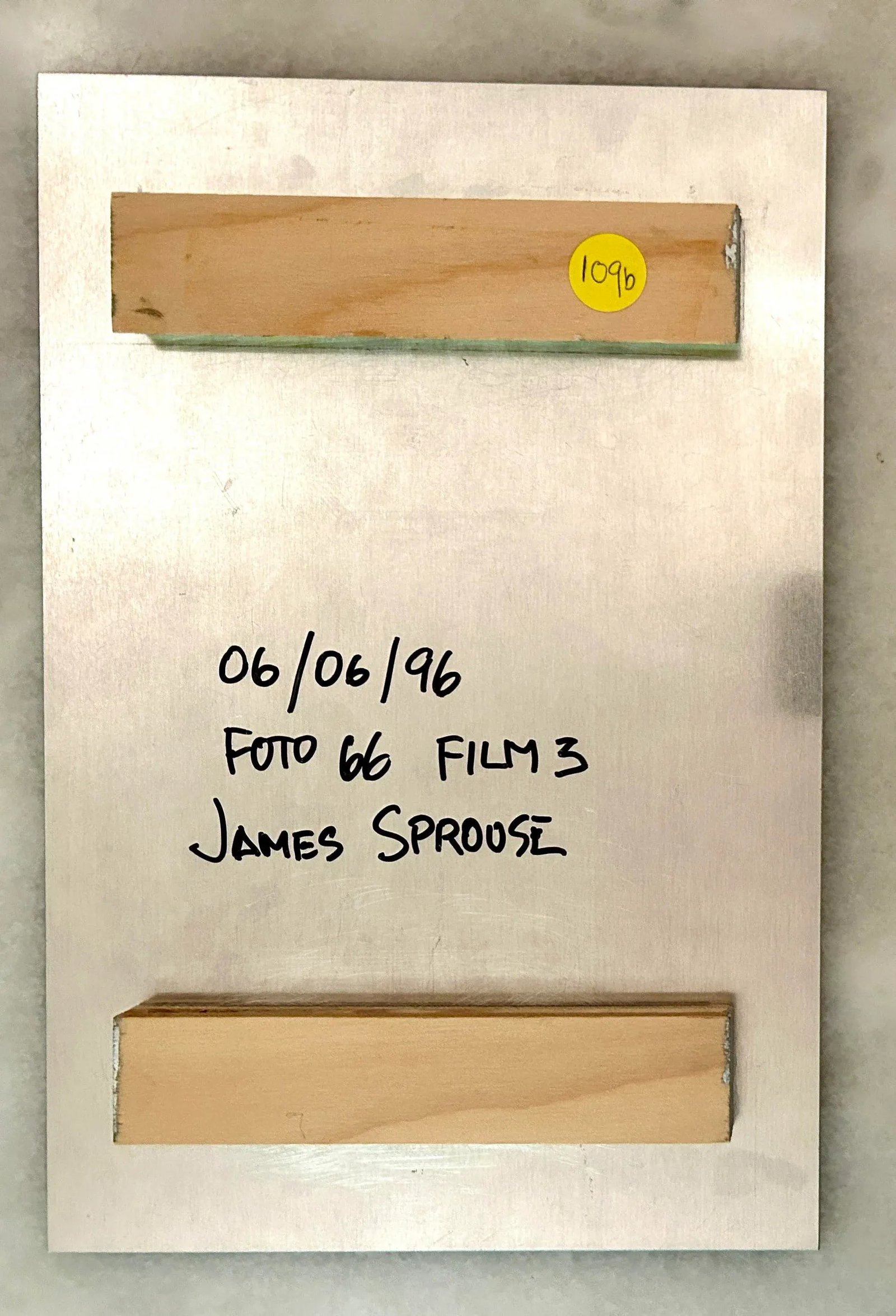 Original Signed James Sprouse "Bird" 1996 Color Photograph on Aluminum - 6