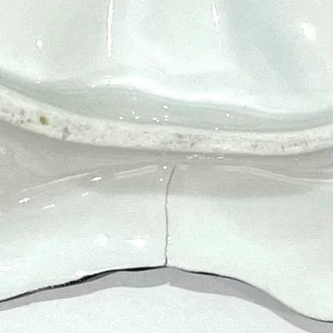French Hand-Painted Porcelain Oyster Plate - Early 20th Century - 8