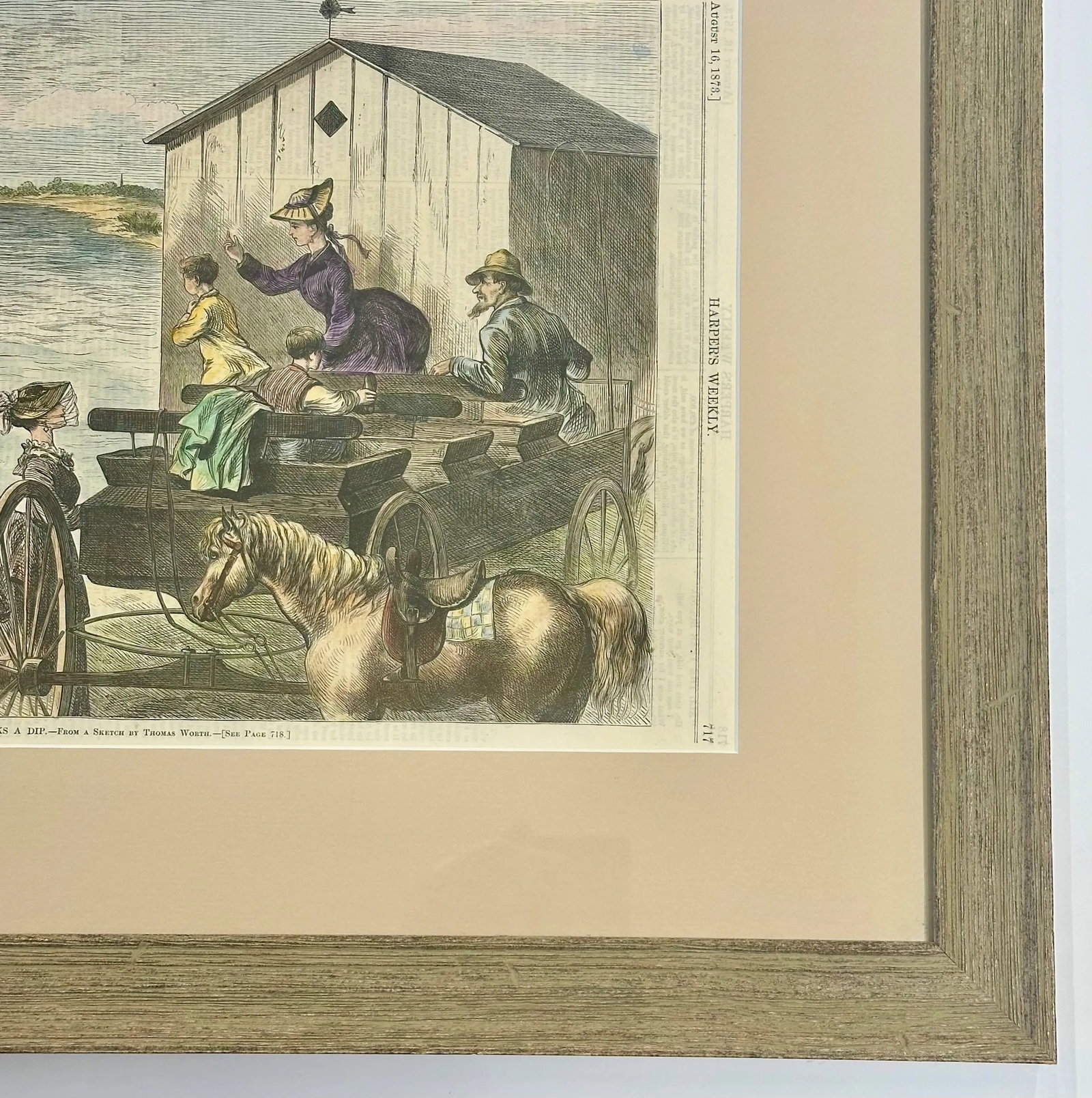 Antique Original Print Chicks Taking a Dip, 1873 (Framed) - 5