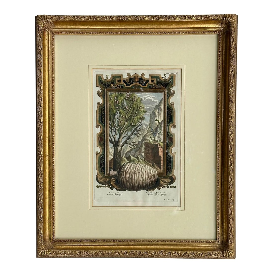 Pine Cone Old Testament, Original Engraving by Johann Scheuchzer, 1731 (Framed): Original copper engraving by Johann Scheuchzer, 1731. Scheuchzer (1672-1733) was a physician by training with a strong interest in natural history and paleontology. He considered the Old Testament a