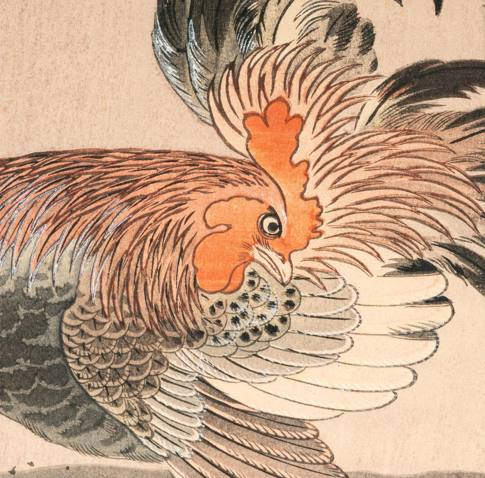 Vintage Japanese Woodblock Prints 'Autumnal Flowers and Rooster' by Hoshin Ishigaki, a Pair - 7