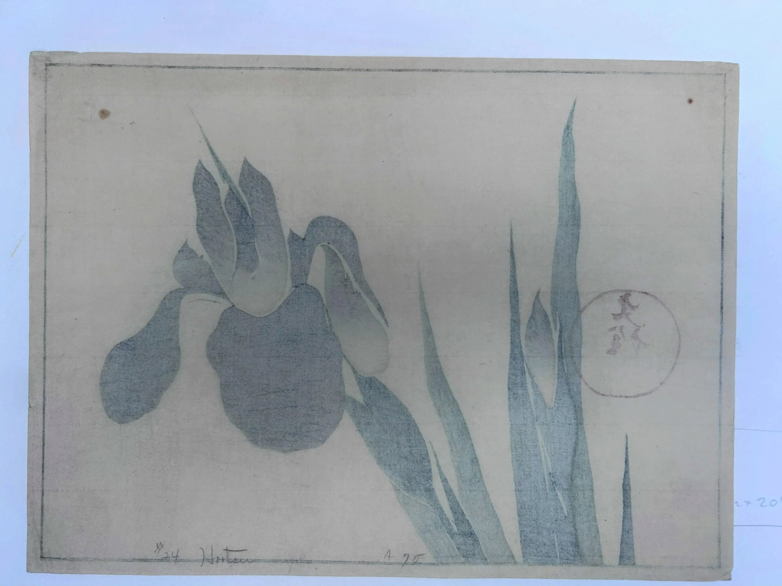 18th Century Antique Japanese Sakai Hoitsu "Iris" Woodblock Print - 10