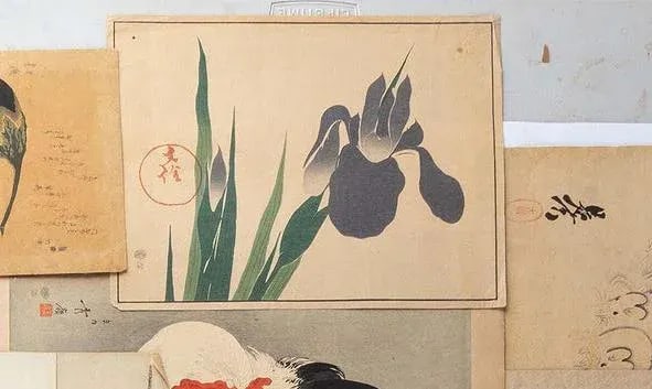 18th Century Antique Japanese Sakai Hoitsu "Iris" Woodblock Print - 12