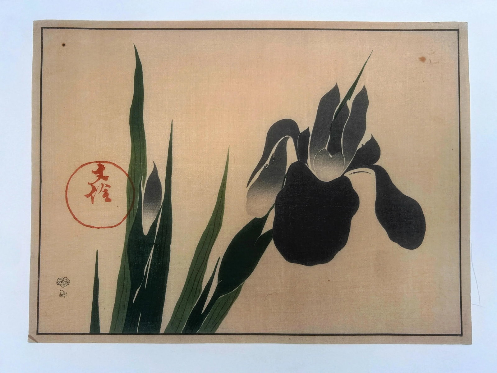 18th Century Antique Japanese Sakai Hoitsu "Iris" Woodblock Print - 2