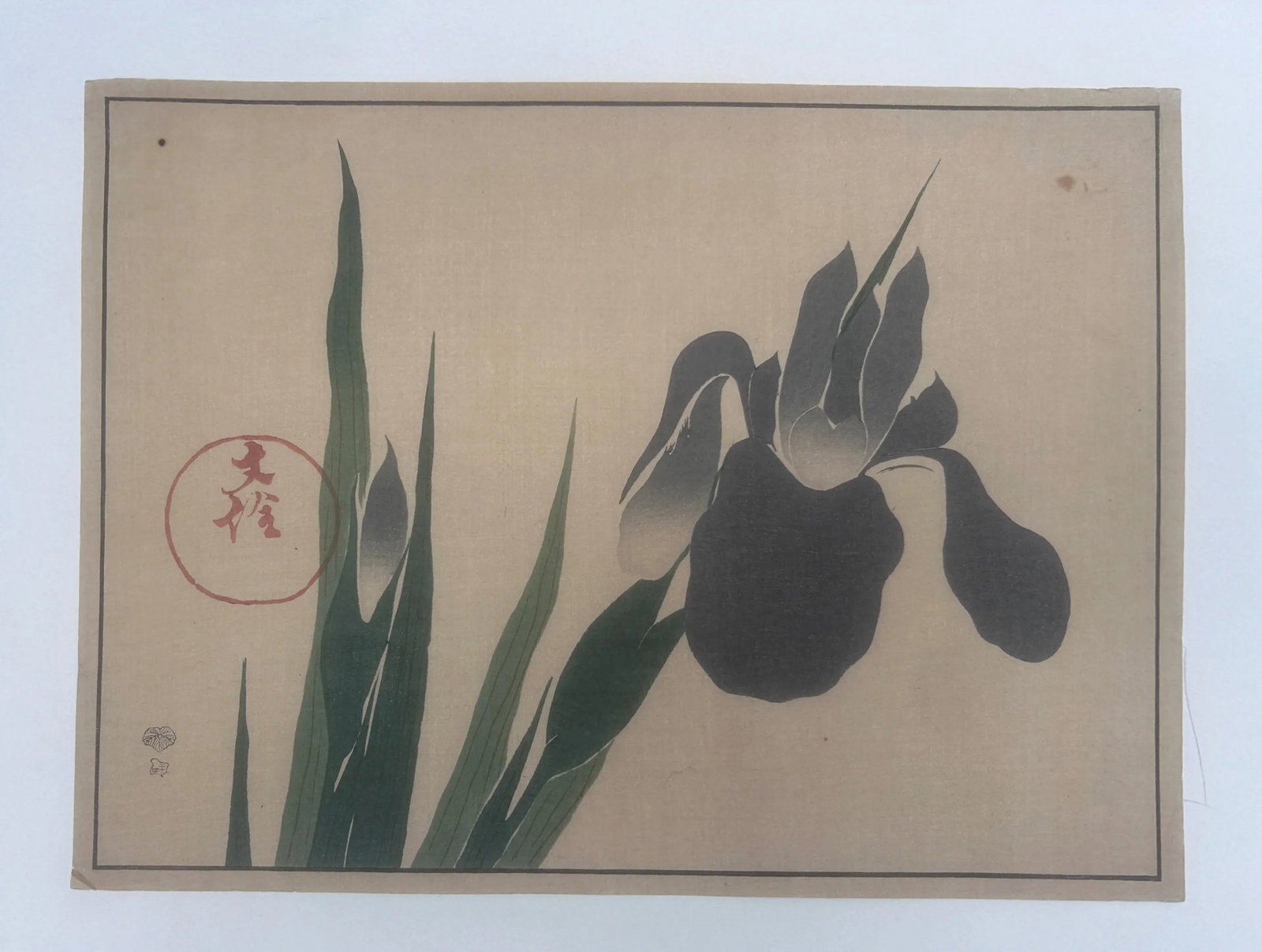 18th Century Antique Japanese Sakai Hoitsu "Iris" Woodblock Print - 4