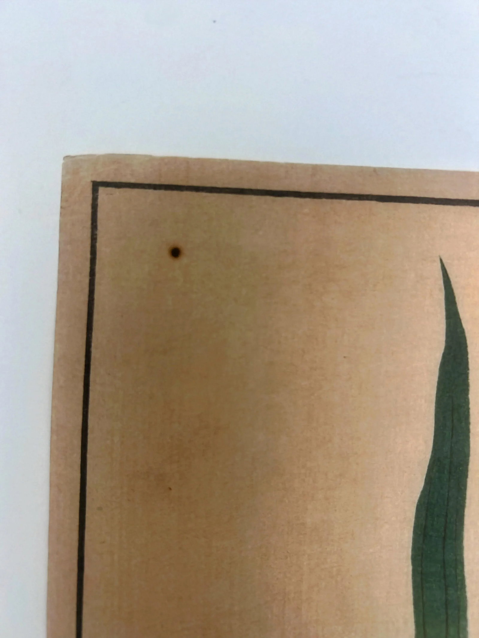 18th Century Antique Japanese Sakai Hoitsu "Iris" Woodblock Print - 5