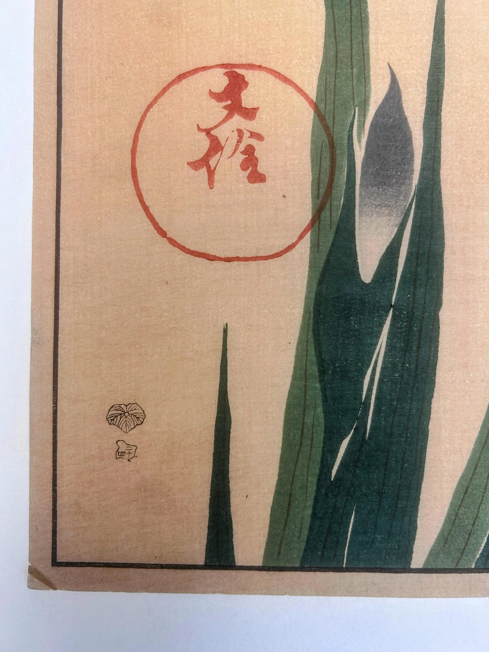 18th Century Antique Japanese Sakai Hoitsu "Iris" Woodblock Print - 8