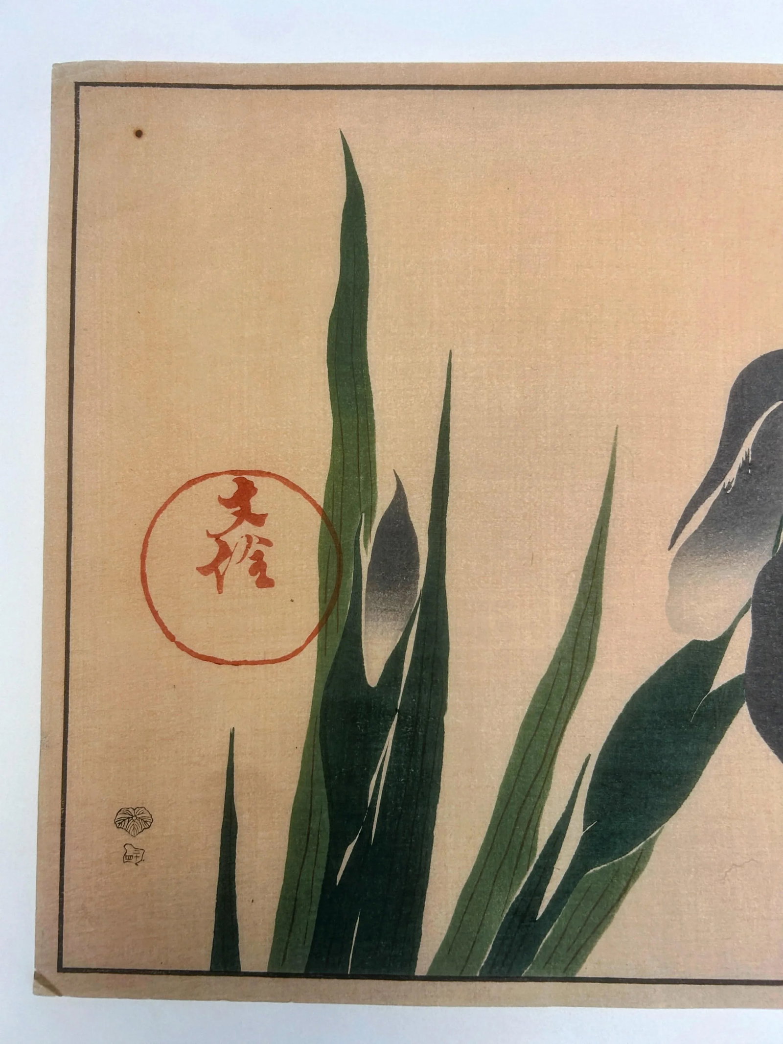 18th Century Antique Japanese Sakai Hoitsu "Iris" Woodblock Print - 9