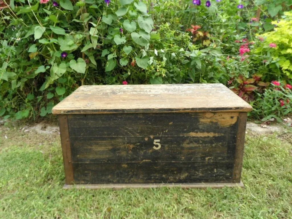 Antique 1860-1880 Country Yellow Pine Sailor's Chest With Original Paint - 2