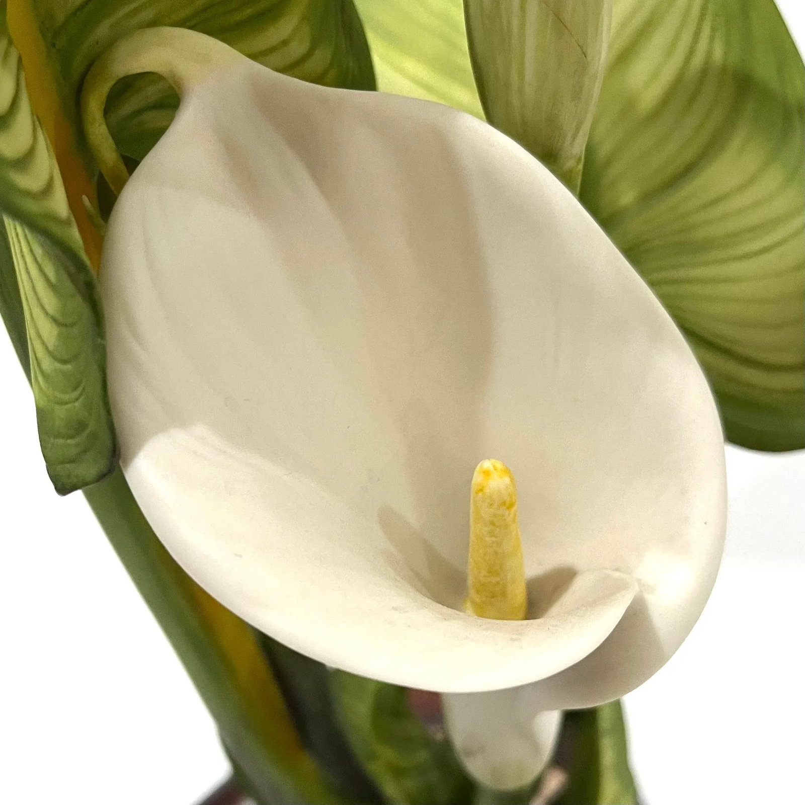 Calla Lily Sculpture - Hand-Painted Porcelain - Cybis Limited Edition 1970s - 2