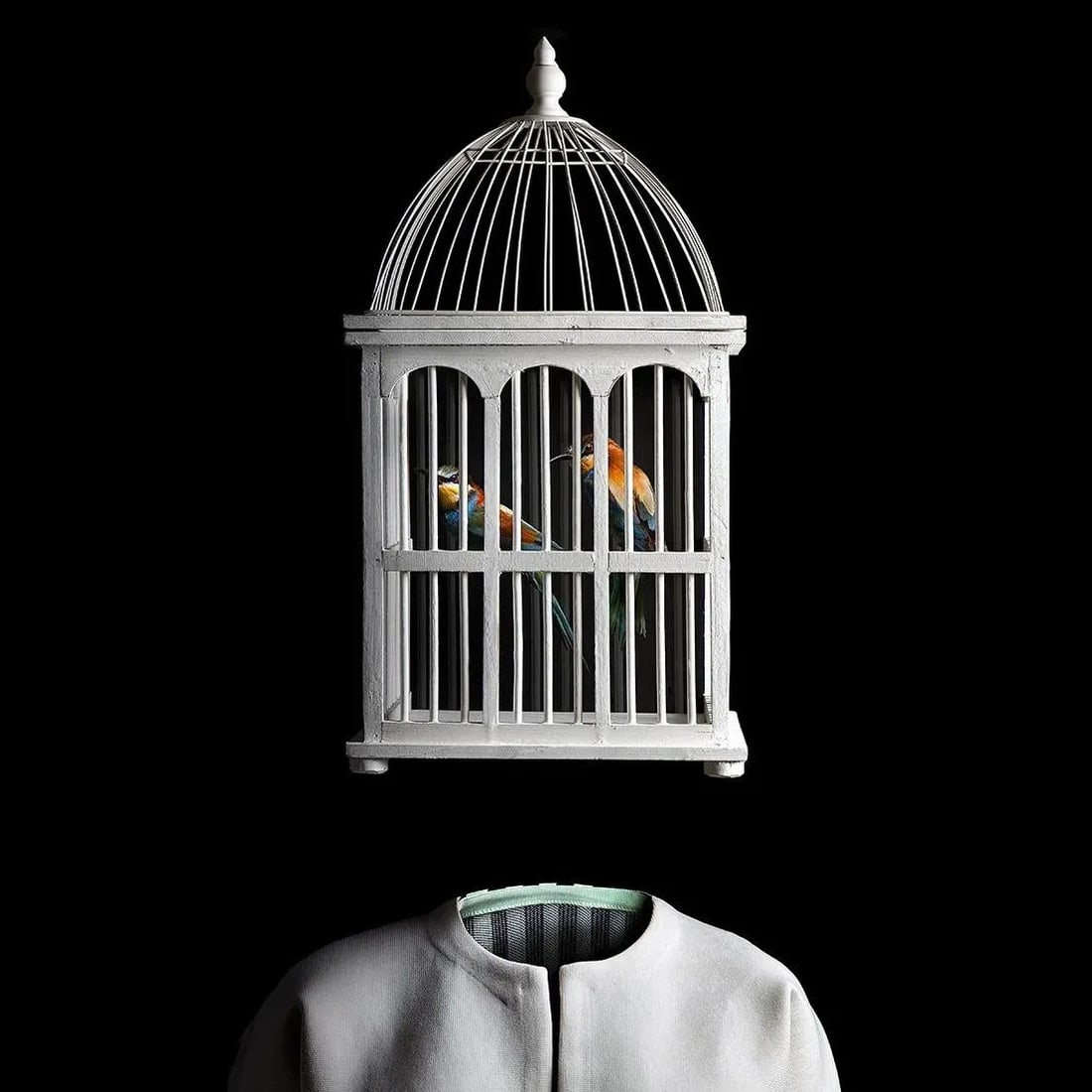 2017 "Ceci N'est Pas Une Cage a Oixeau" Contemporary Surrealist Style Photograph by Miguel Vallina - 2