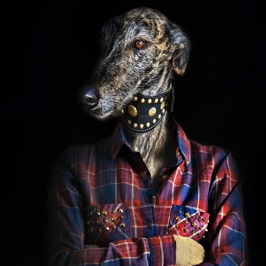 2017 "Second Skins Number 41" Contemporary Surrealist Style Photograph by Miguel Vallinas - 2