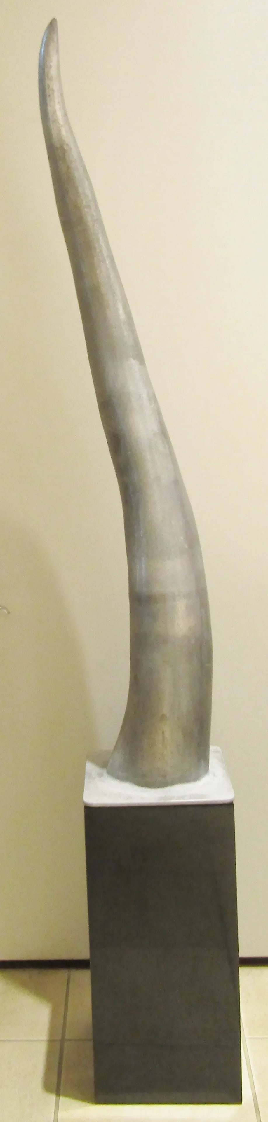 Large Cast Raw Aluminum Sculptural Horn Tusk on Pedestal - 6