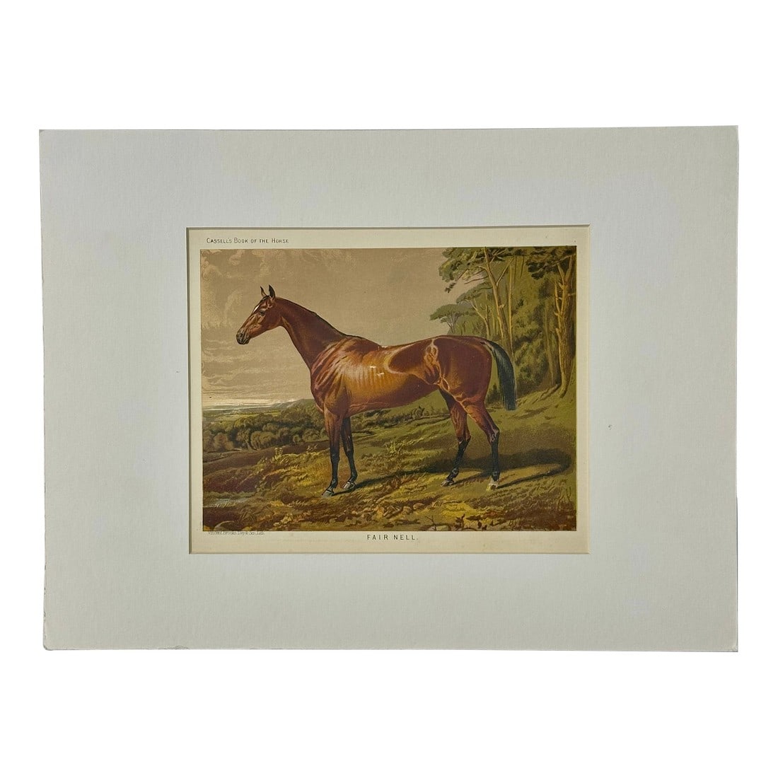 Fair Nell Horse Landscape Print by Cassell, 1885: Original Chromolithograph by Cassell, London, 1885. From The Book of the Horse by S. Sidney published by Cassell, Petter, Galpin. Dimensions: 12 x 16" Please note: If you purchase multiple items,