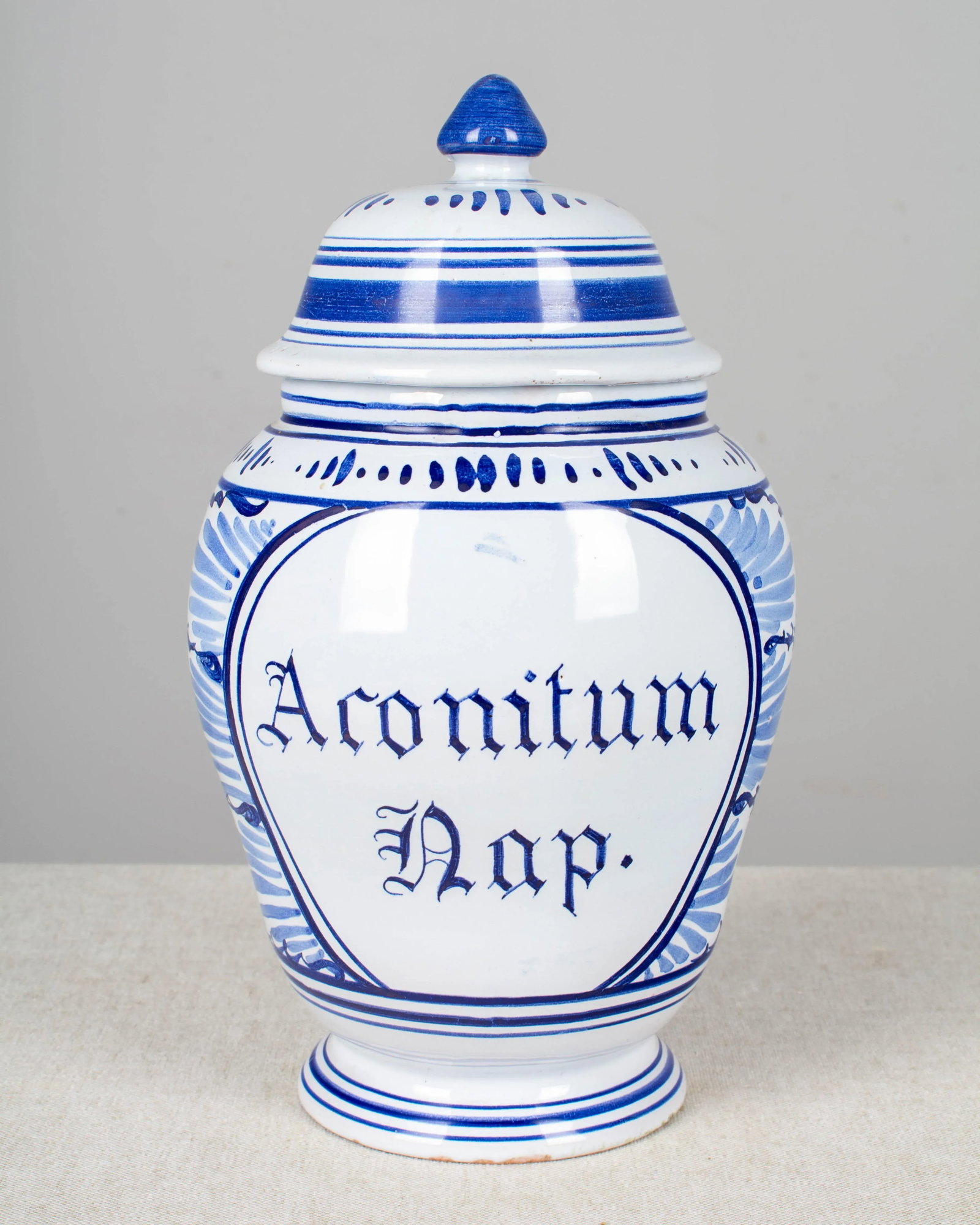 Delft Faience Apothecary Jar - 11