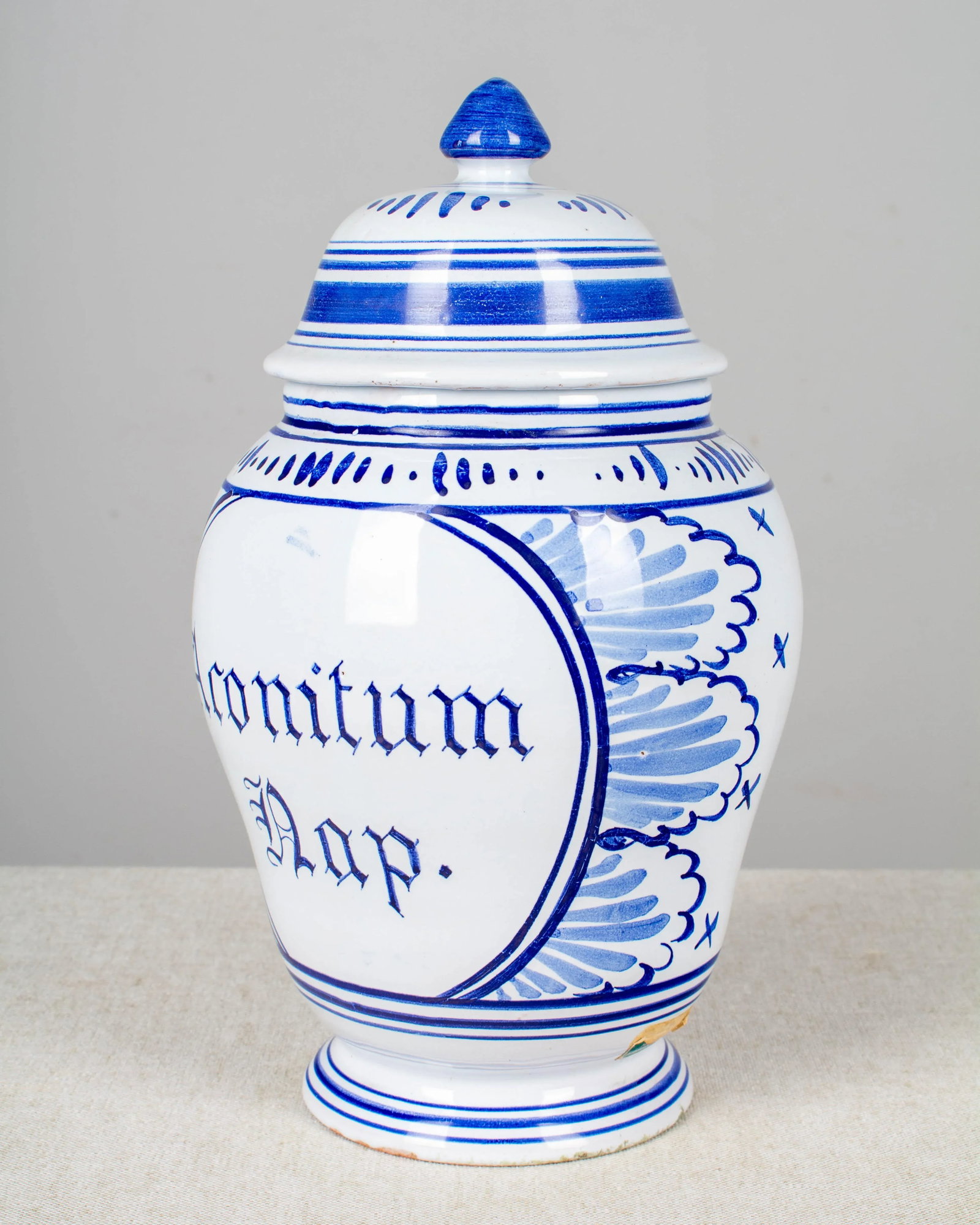 Delft Faience Apothecary Jar - 2