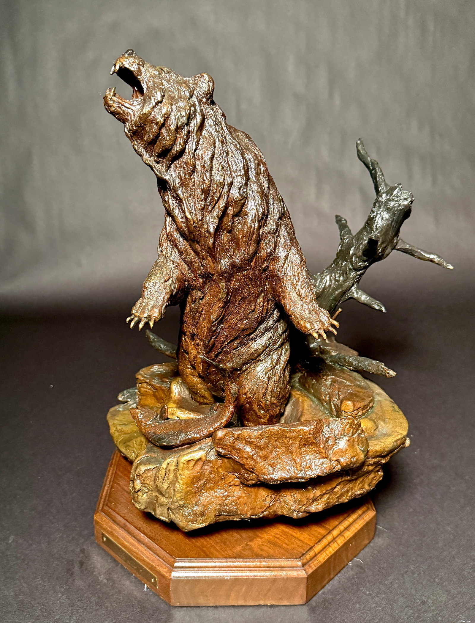1980s Bronze Roaring Bear by Wally Shoop "No Intruders" Western Wildlife Sculpture - 5