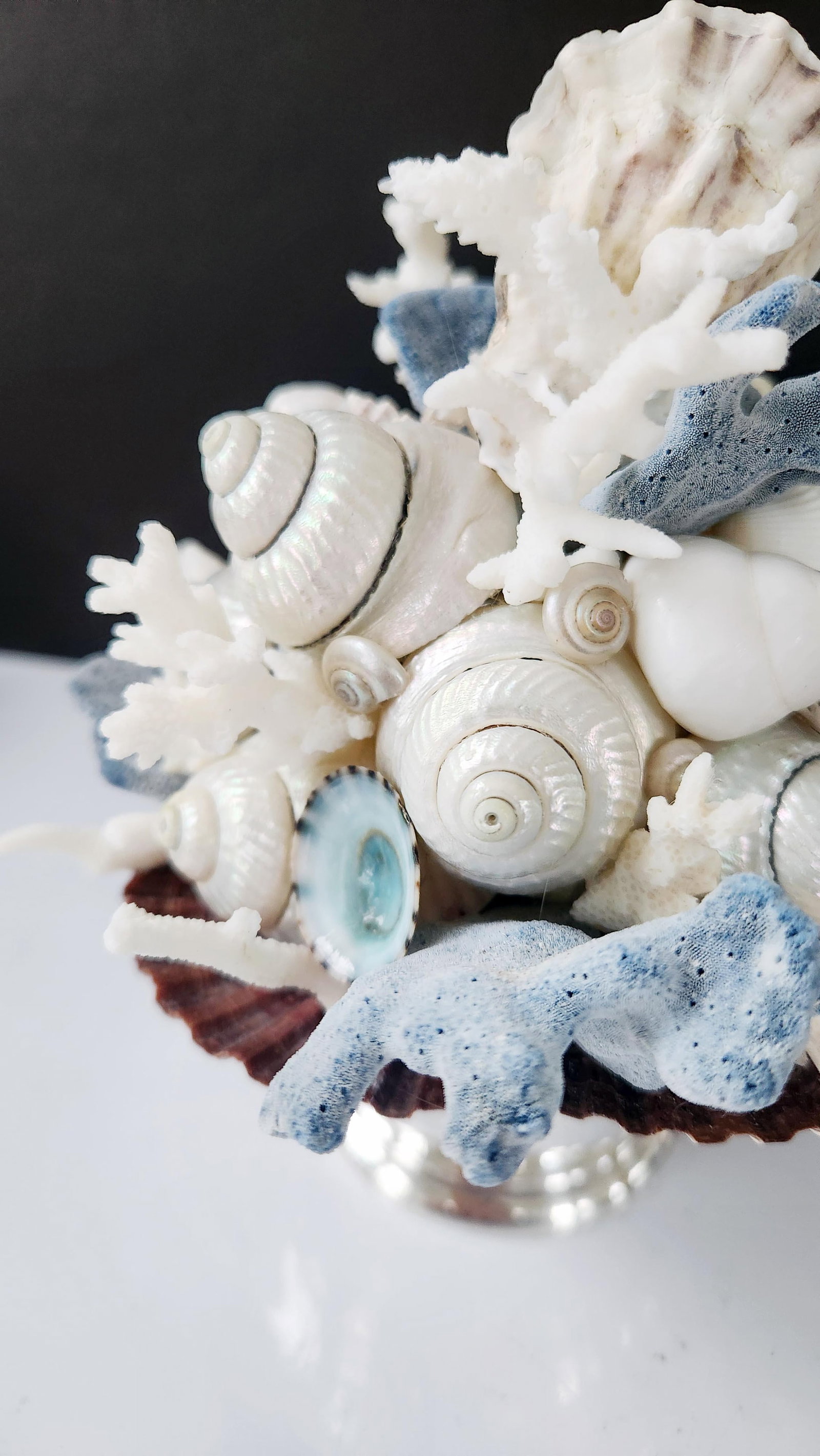 Handmade Coastal Seashell Sculpture – Seashell & Blue Ridge Coral Arrangement - 10