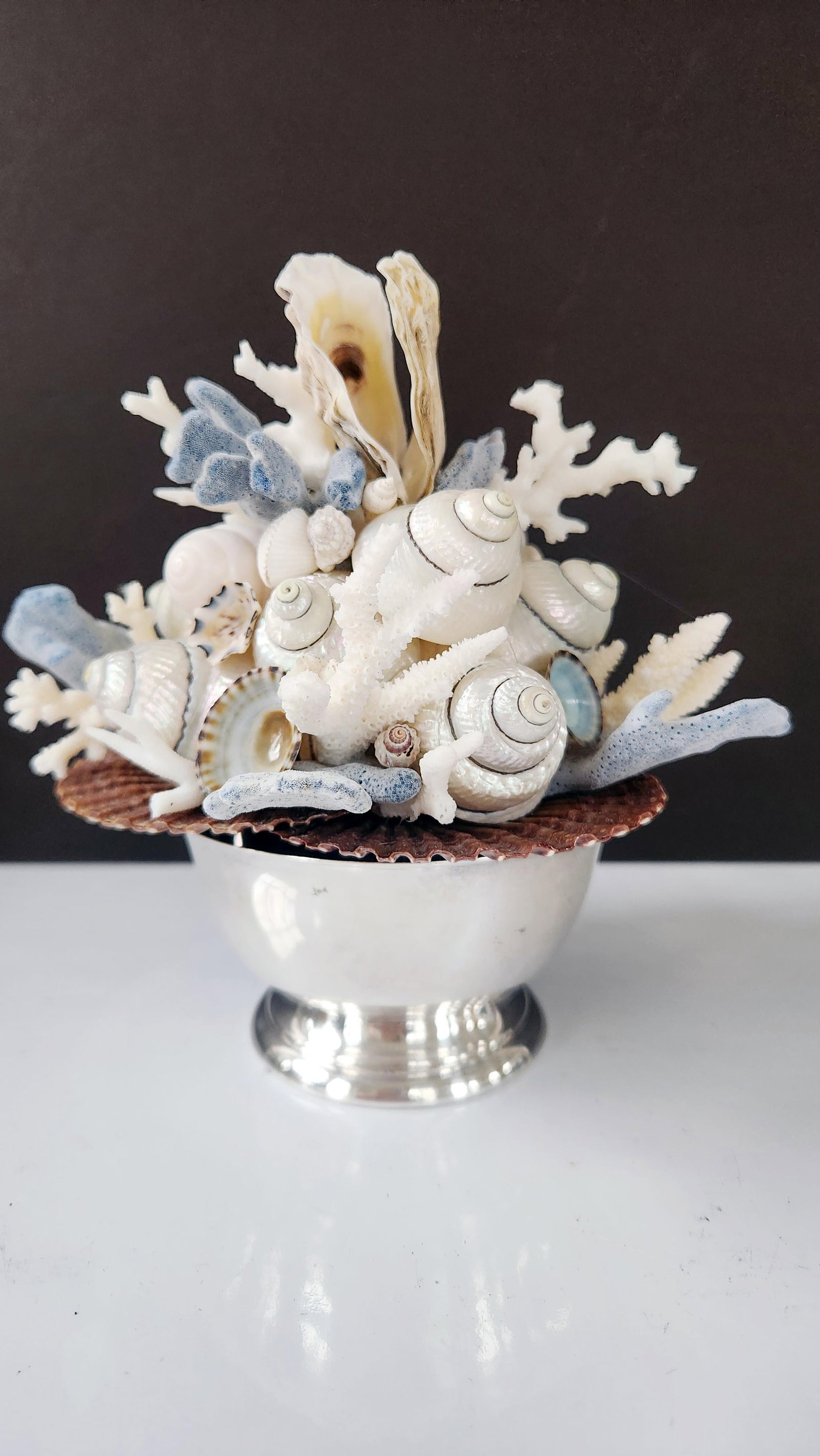 Handmade Coastal Seashell Sculpture – Seashell & Blue Ridge Coral Arrangement - 11