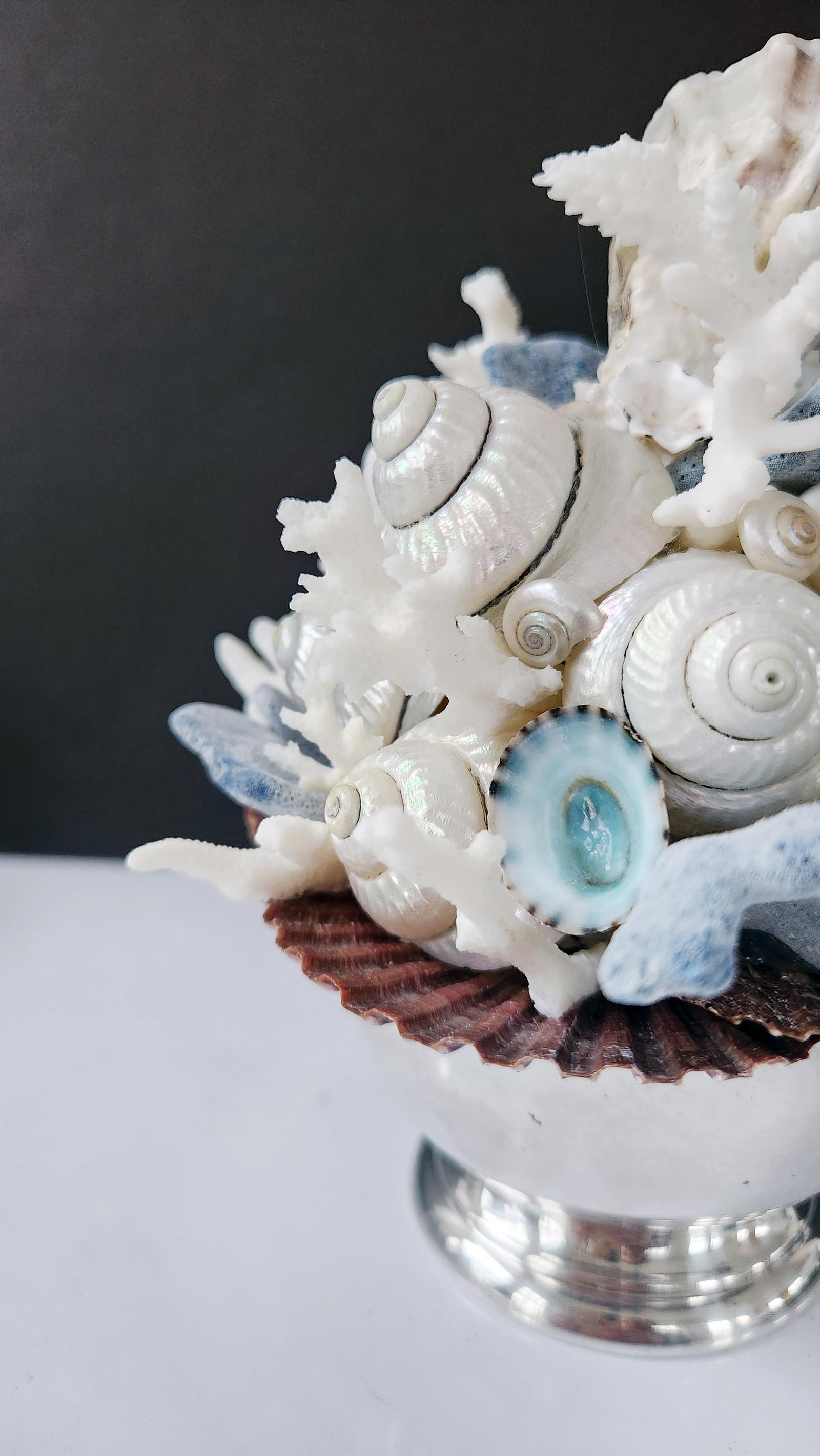 Handmade Coastal Seashell Sculpture – Seashell & Blue Ridge Coral Arrangement - 12