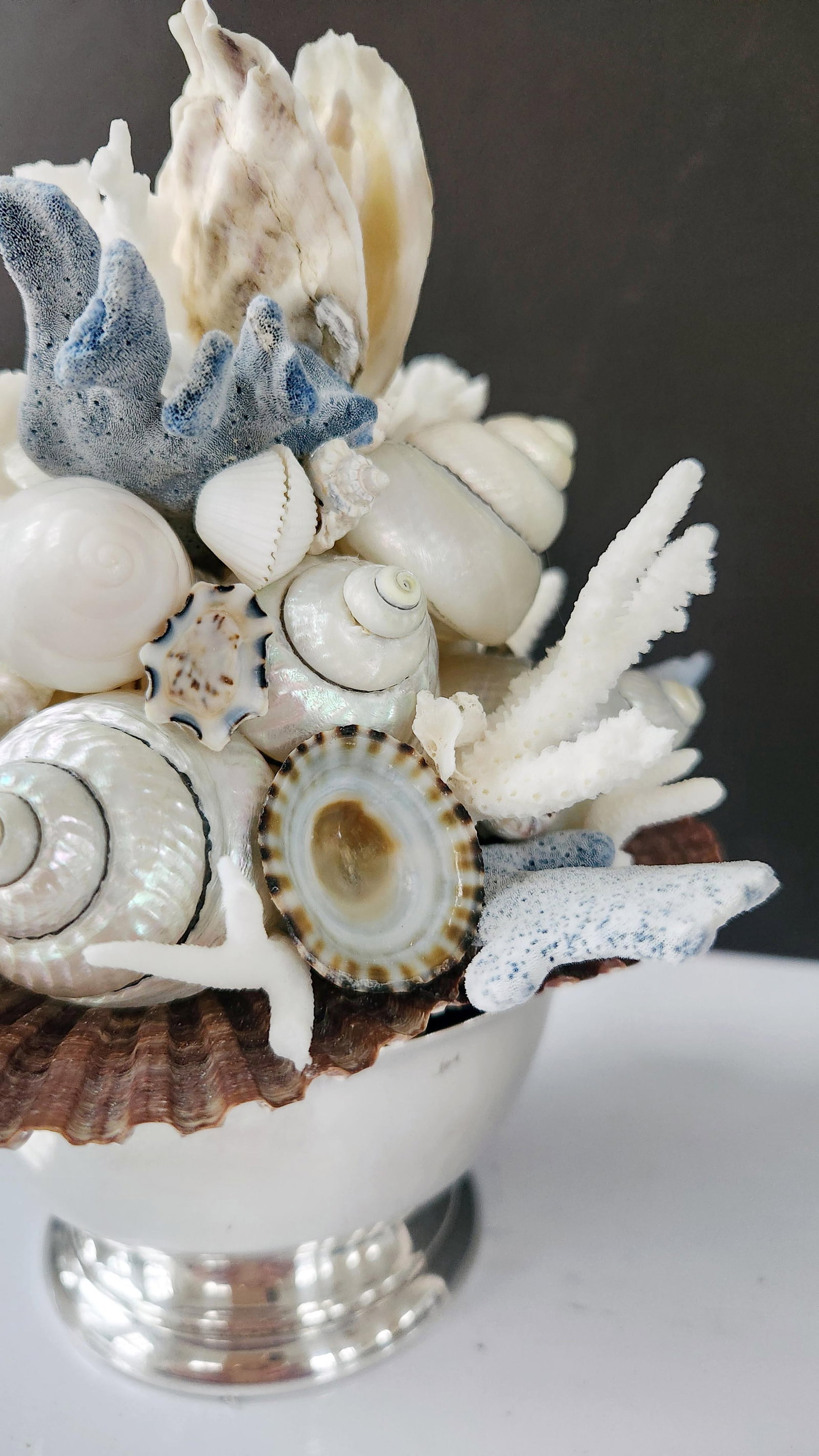 Handmade Coastal Seashell Sculpture – Seashell & Blue Ridge Coral Arrangement - 13