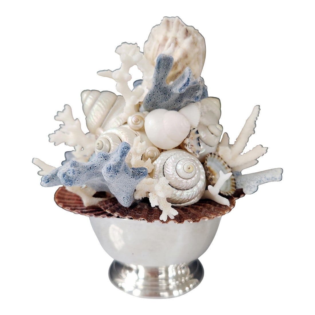 Handmade Coastal Seashell Sculpture – Seashell & Blue Ridge Coral Arrangement: This handmade sculptural décor piece is created in my Connecticut studio using a vintage silverplate revere bowl, polished seashells, and natural blue ridge coral. The sculptural arrangement