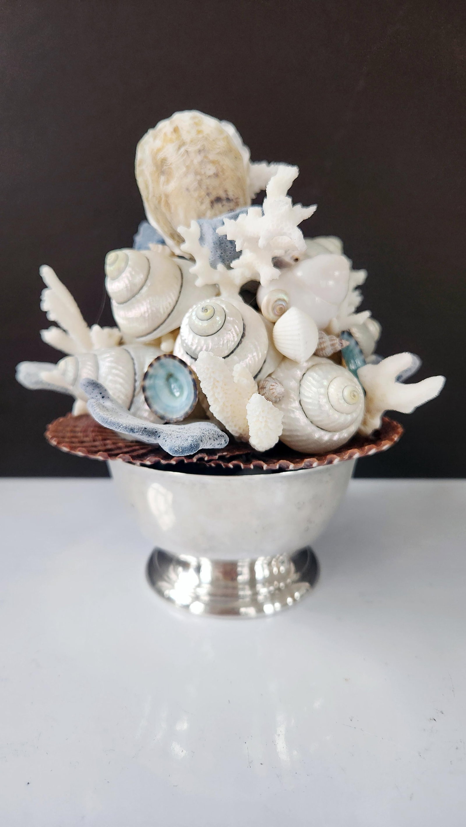 Handmade Coastal Seashell Sculpture – Seashell & Blue Ridge Coral Arrangement - 2
