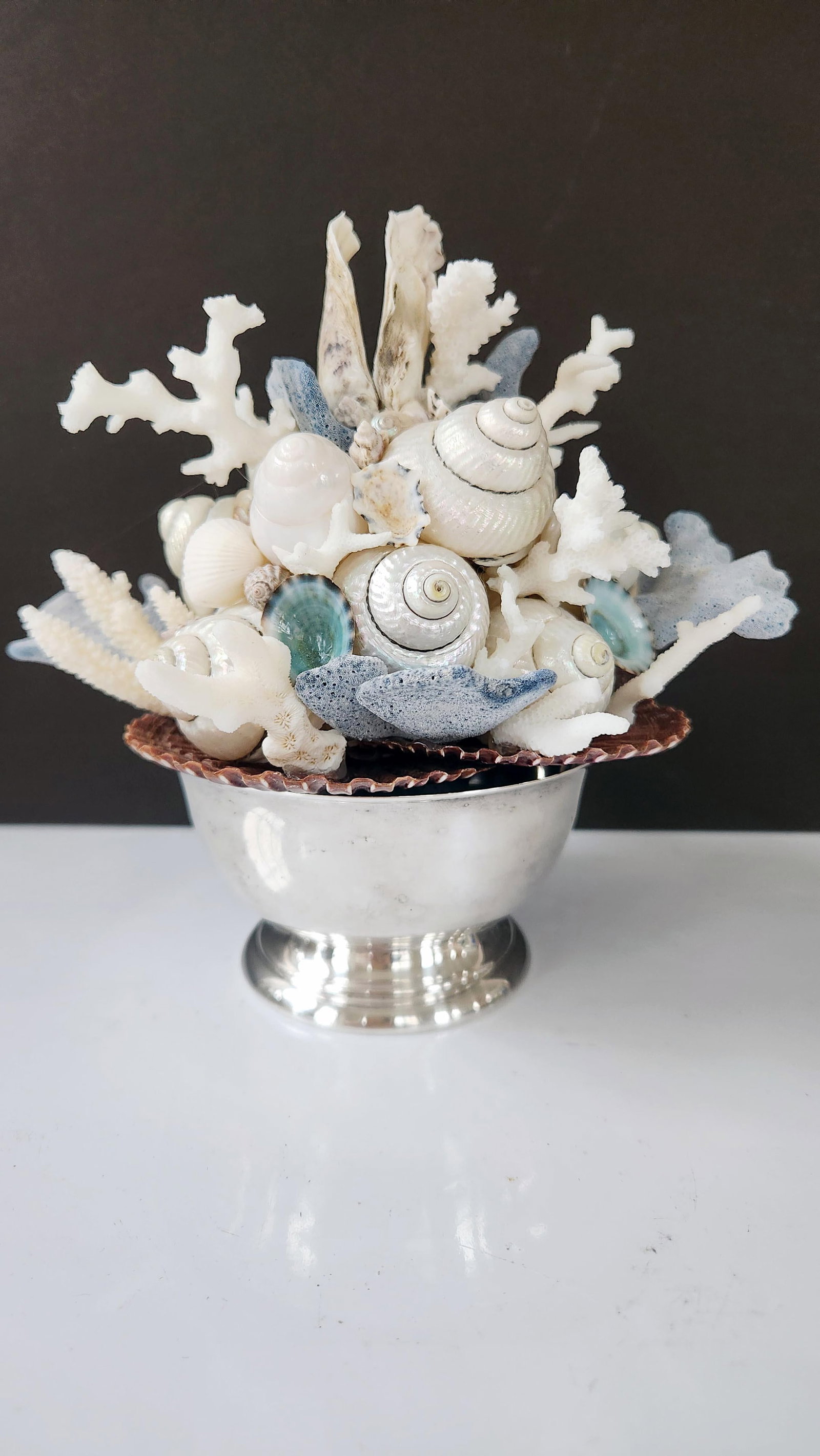 Handmade Coastal Seashell Sculpture – Seashell & Blue Ridge Coral Arrangement - 4