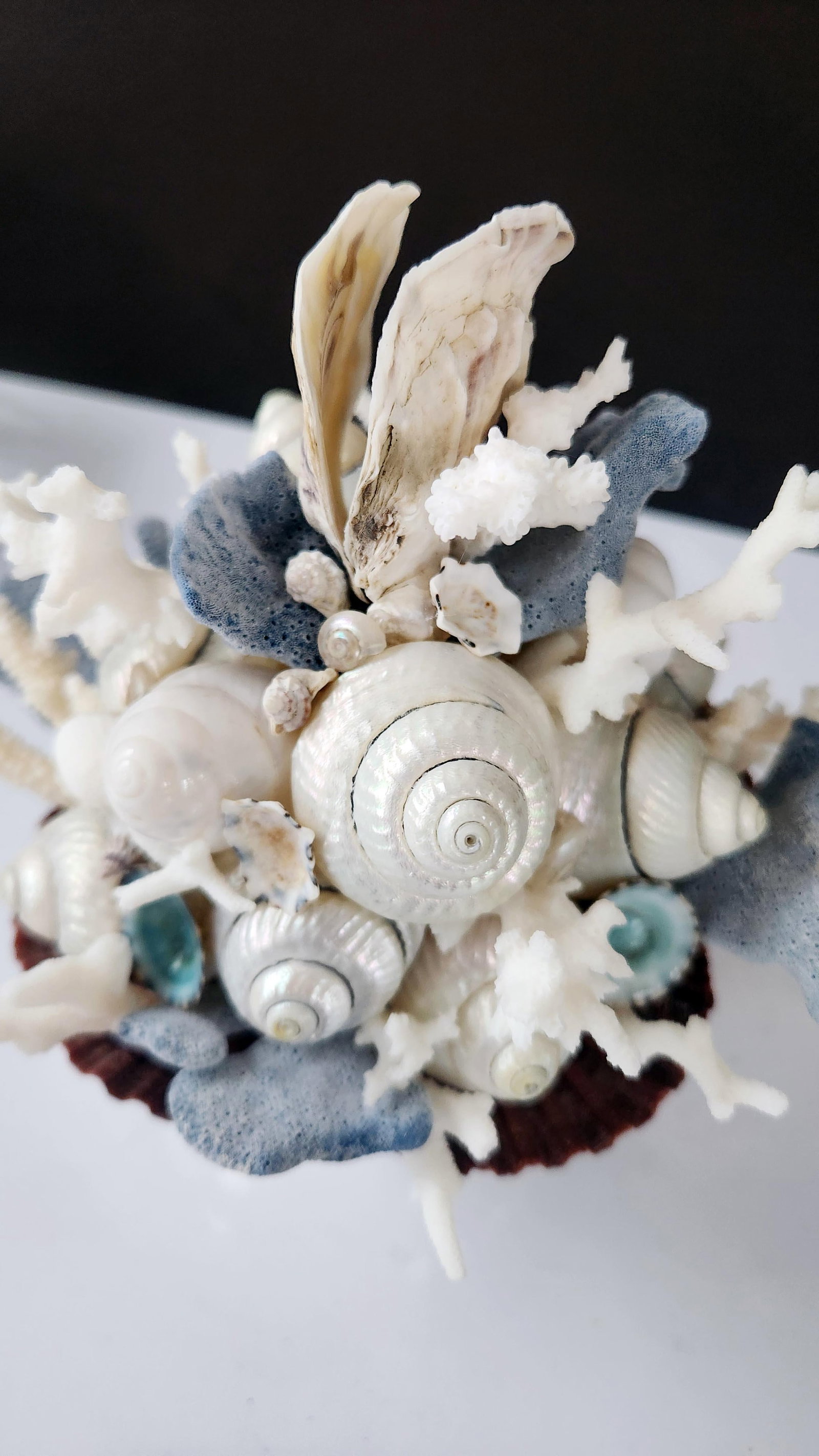 Handmade Coastal Seashell Sculpture – Seashell & Blue Ridge Coral Arrangement - 7