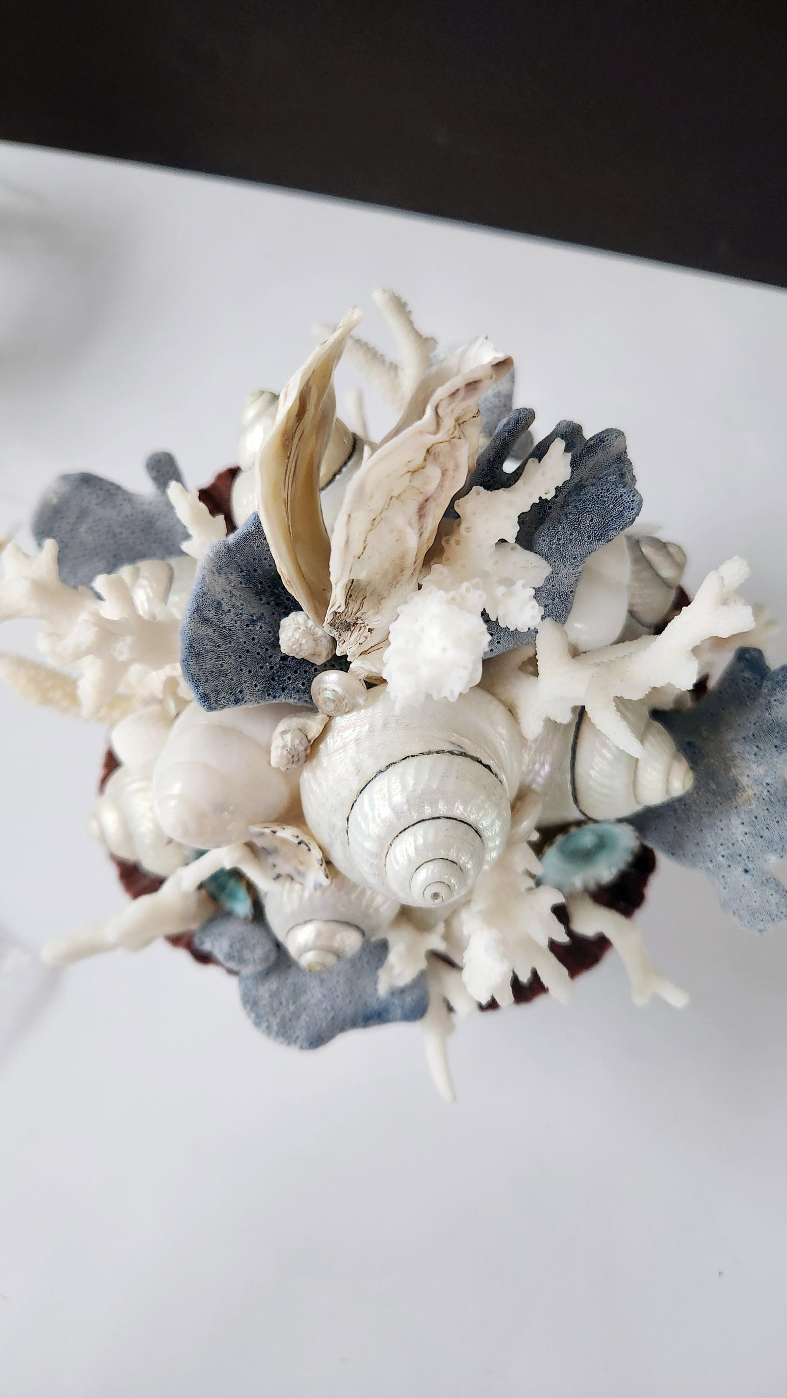 Handmade Coastal Seashell Sculpture – Seashell & Blue Ridge Coral Arrangement - 8