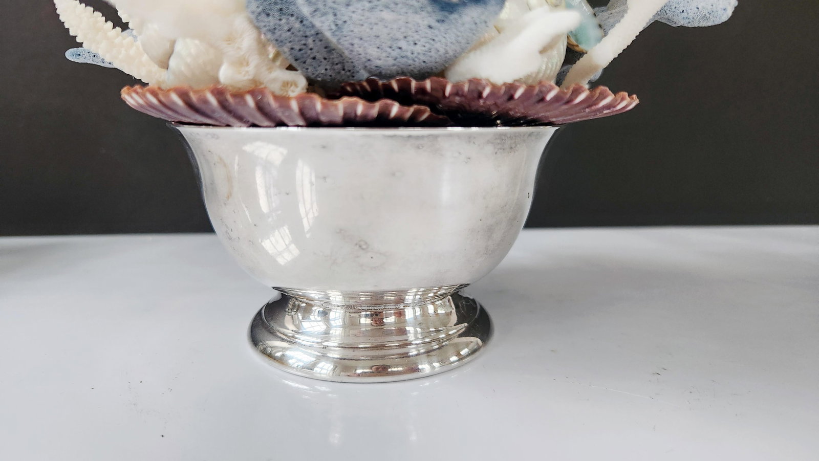 Handmade Coastal Seashell Sculpture – Seashell & Blue Ridge Coral Arrangement - 9
