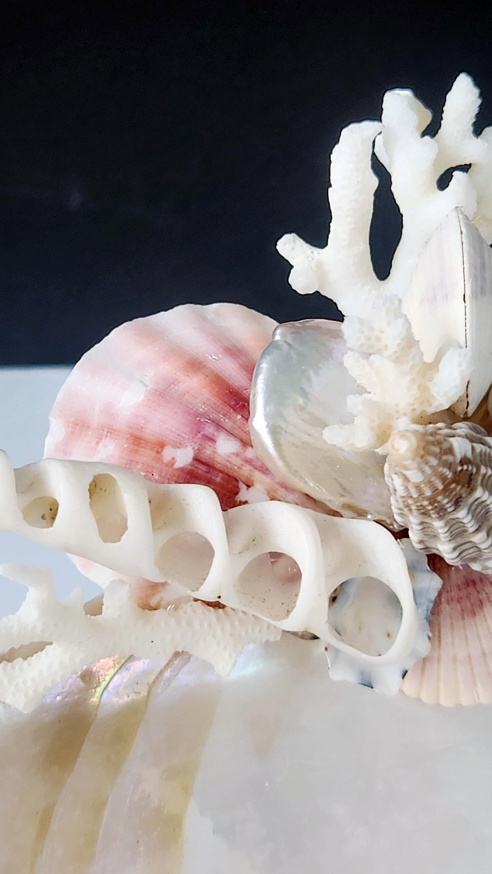 Handcrafted Oyster Shell Tray With Vintage Seashell Composition & Biwa Pearls "” Coastal - 10