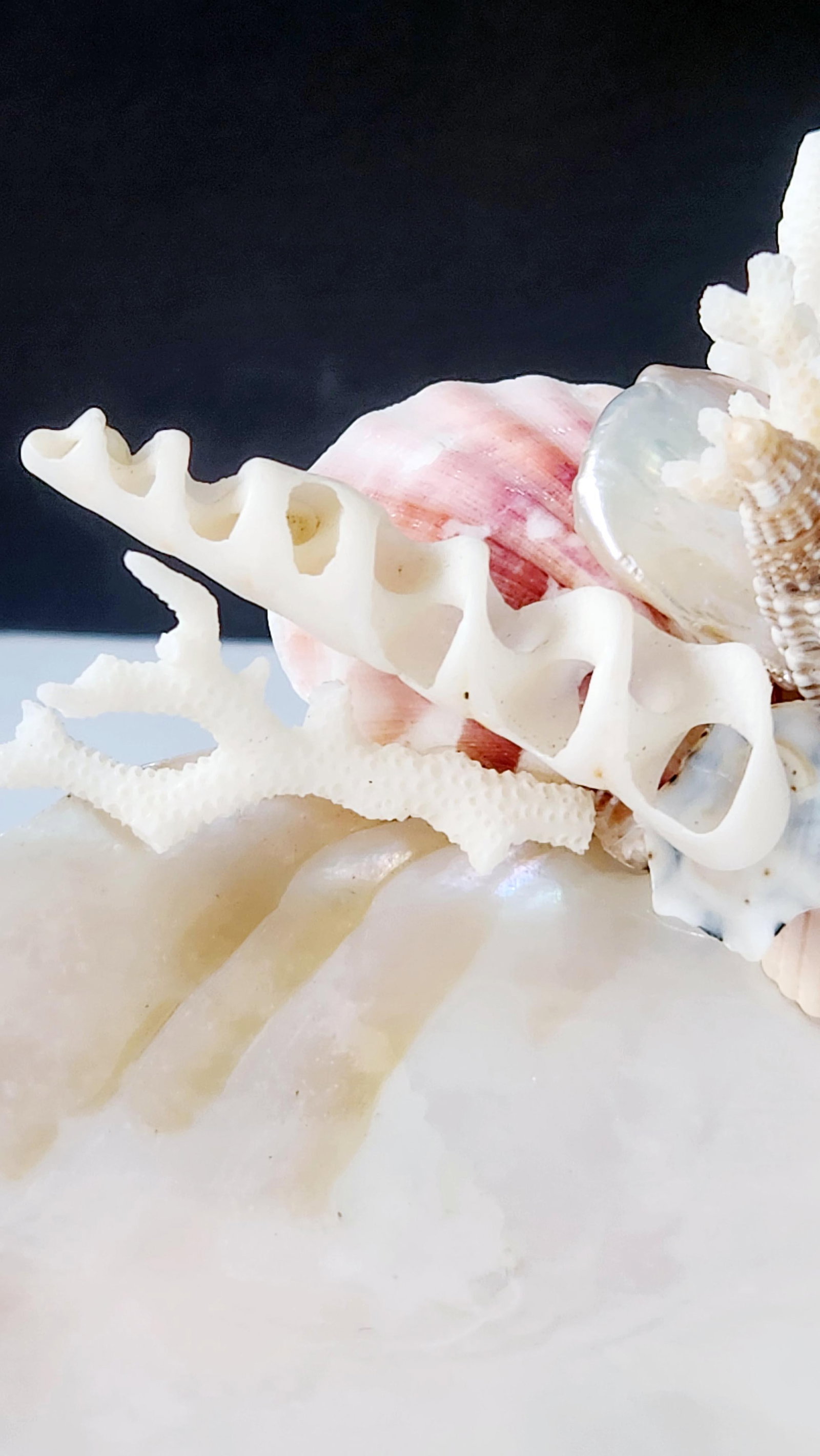 Handcrafted Oyster Shell Tray With Vintage Seashell Composition & Biwa Pearls "” Coastal - 11
