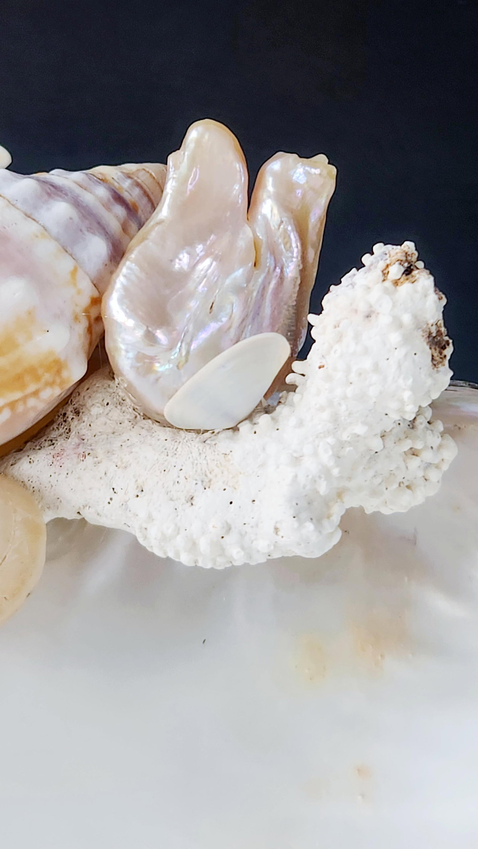 Handcrafted Oyster Shell Tray With Vintage Seashell Composition & Biwa Pearls "” Coastal - 12