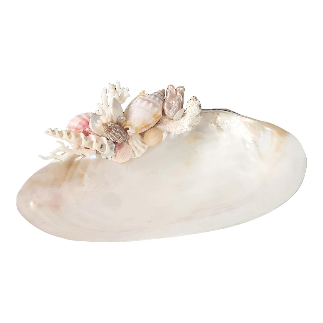 Handcrafted Oyster Shell Tray With Vintage Seashell Composition & Biwa Pearls "” Coastal: A beautifully composed coastal sculptural object handcrafted in Connecticut using a naturally polished pearl oyster half shell adorned with carefully curated vintage seashell specimens. Queen conch fr
