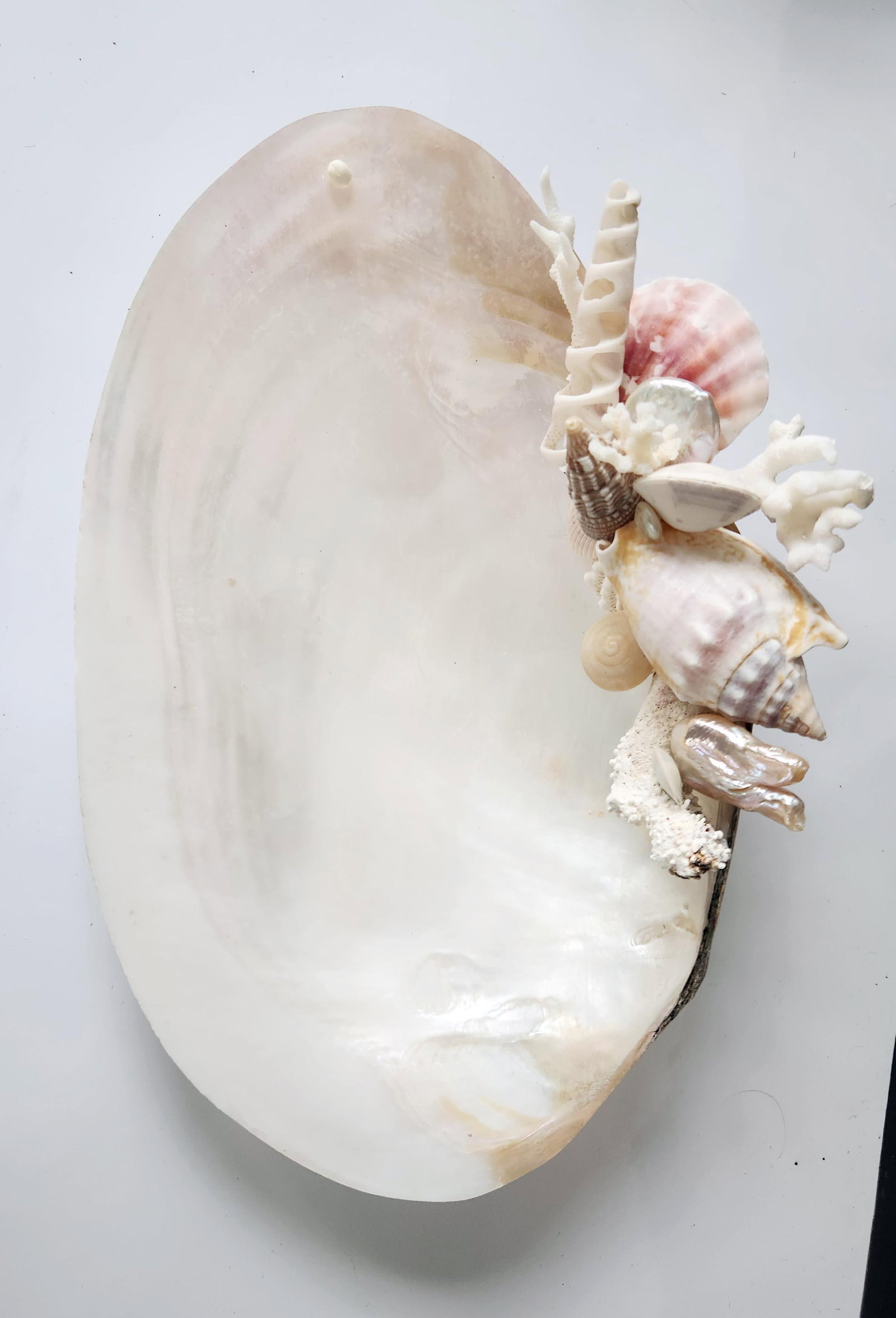 Handcrafted Oyster Shell Tray With Vintage Seashell Composition & Biwa Pearls "” Coastal - 2