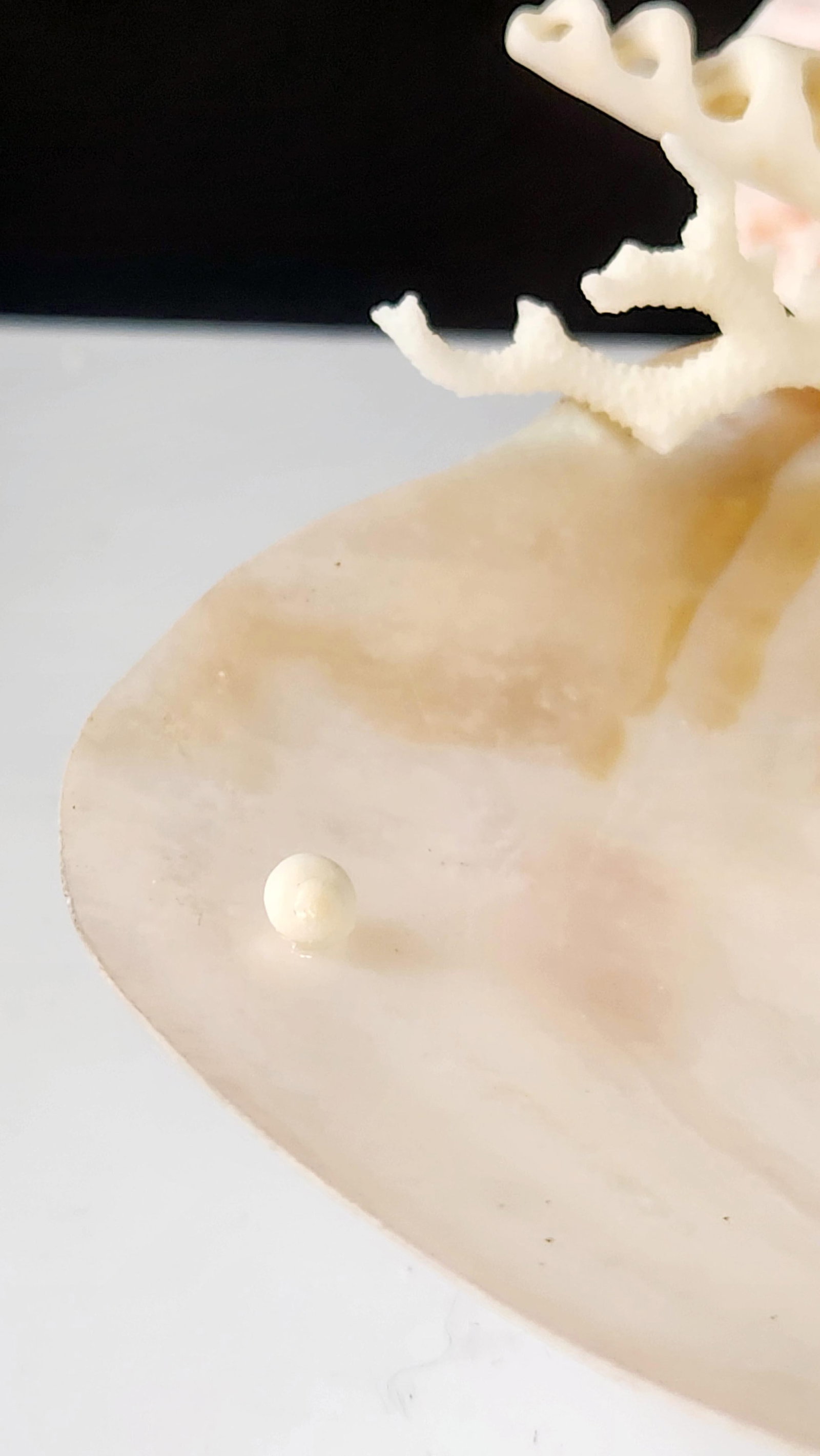 Handcrafted Oyster Shell Tray With Vintage Seashell Composition & Biwa Pearls "” Coastal - 3