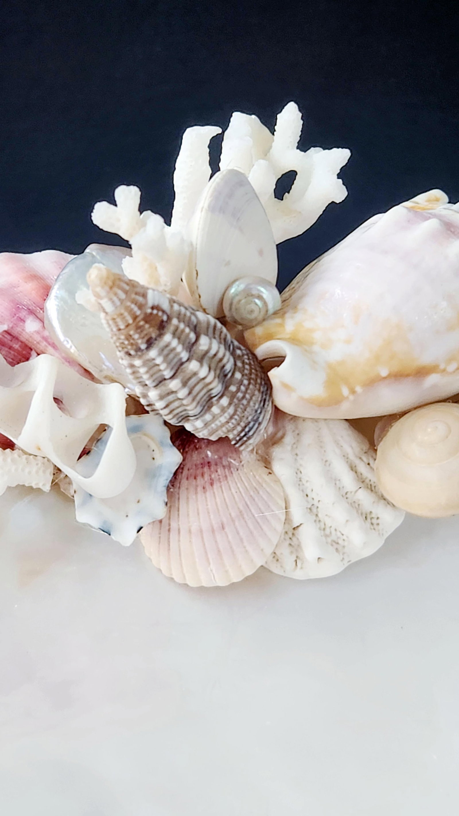 Handcrafted Oyster Shell Tray With Vintage Seashell Composition & Biwa Pearls "” Coastal - 6