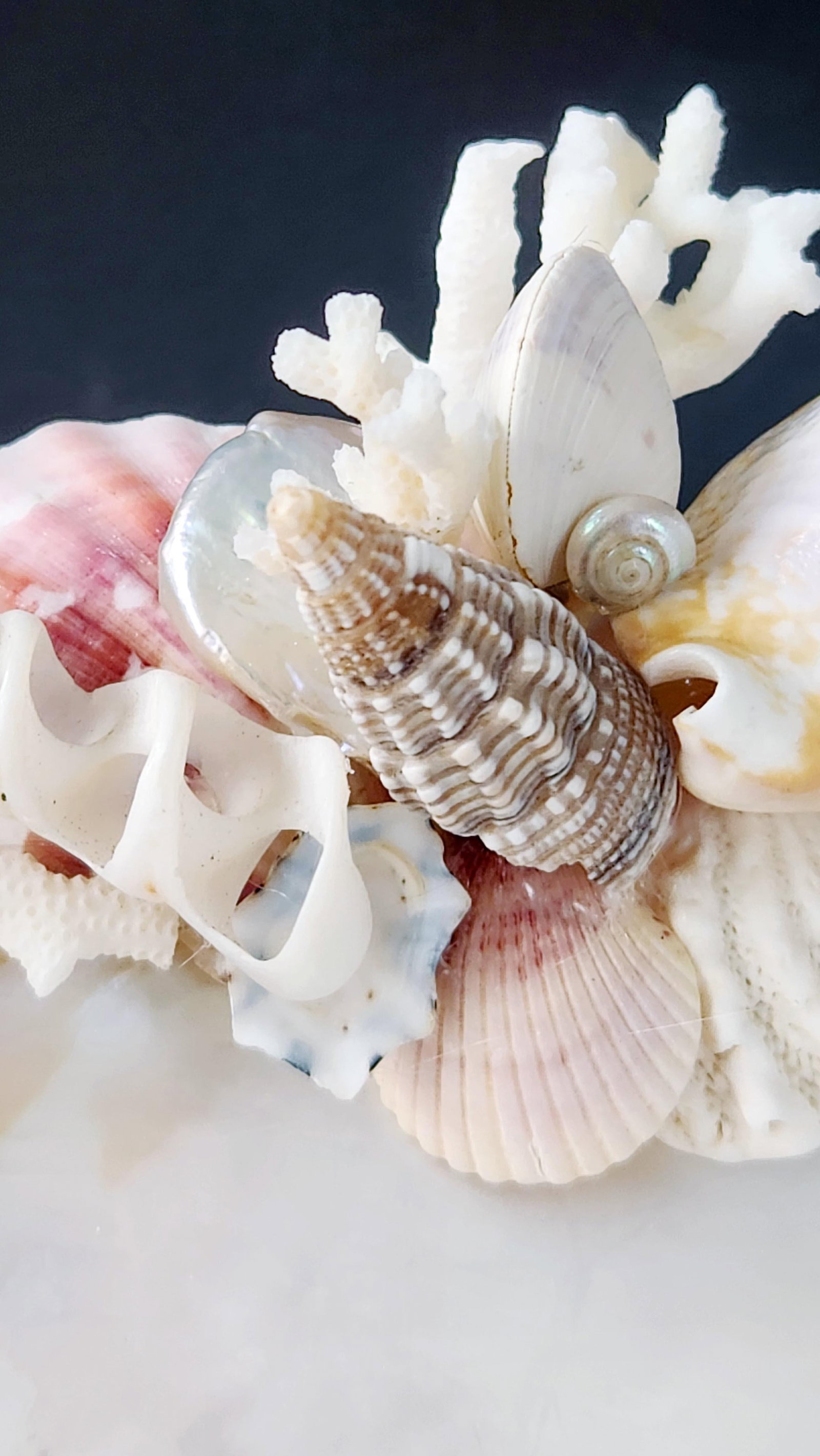 Handcrafted Oyster Shell Tray With Vintage Seashell Composition & Biwa Pearls "” Coastal - 7