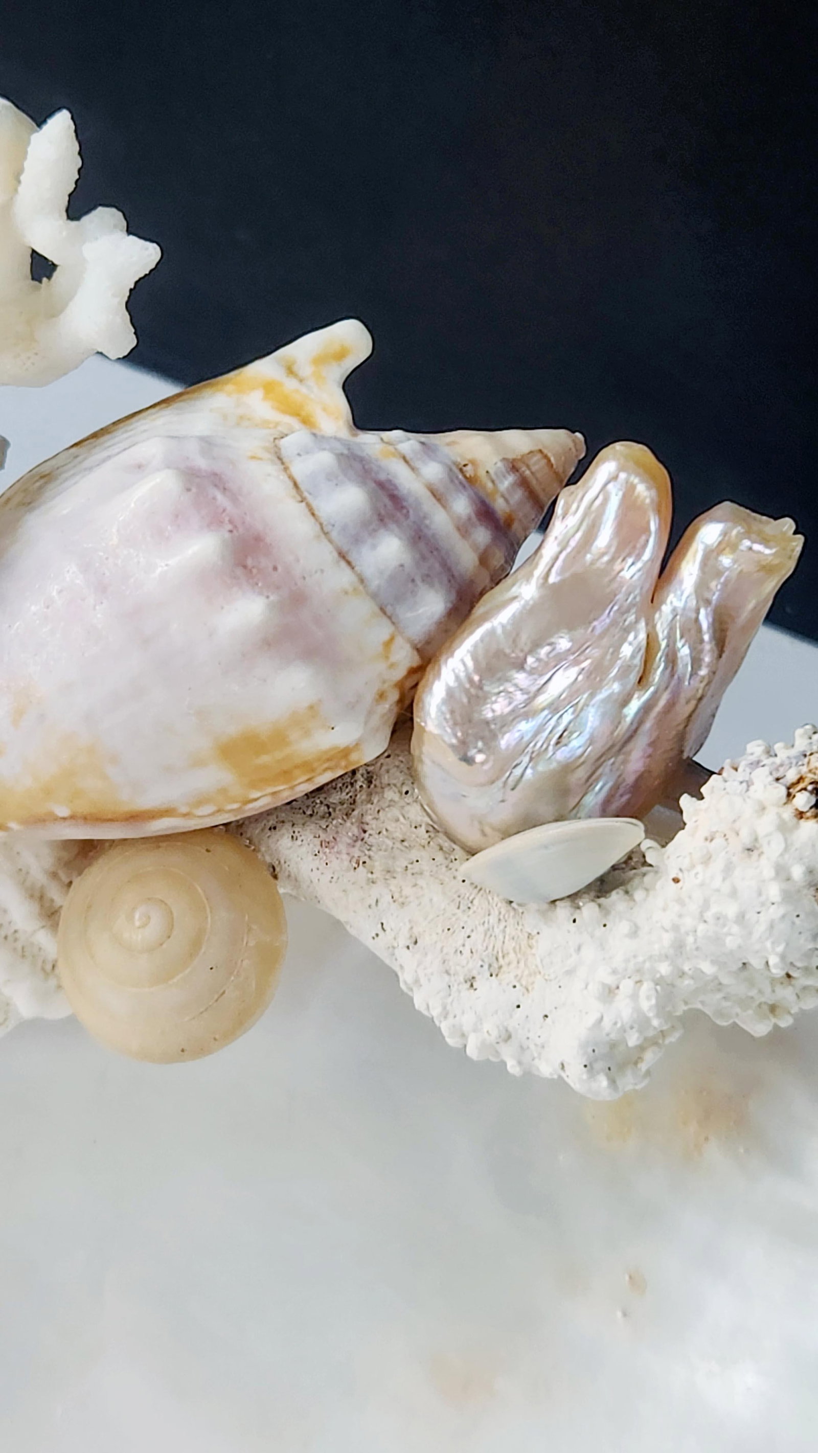 Handcrafted Oyster Shell Tray With Vintage Seashell Composition & Biwa Pearls "” Coastal - 8