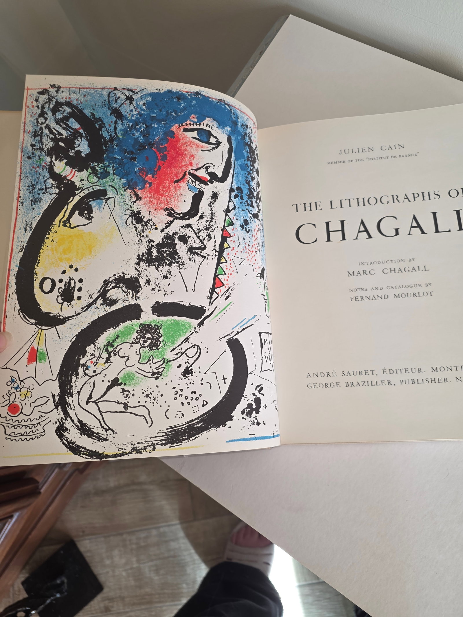 Lithographe Marc Chagall Book 1960 - 13
