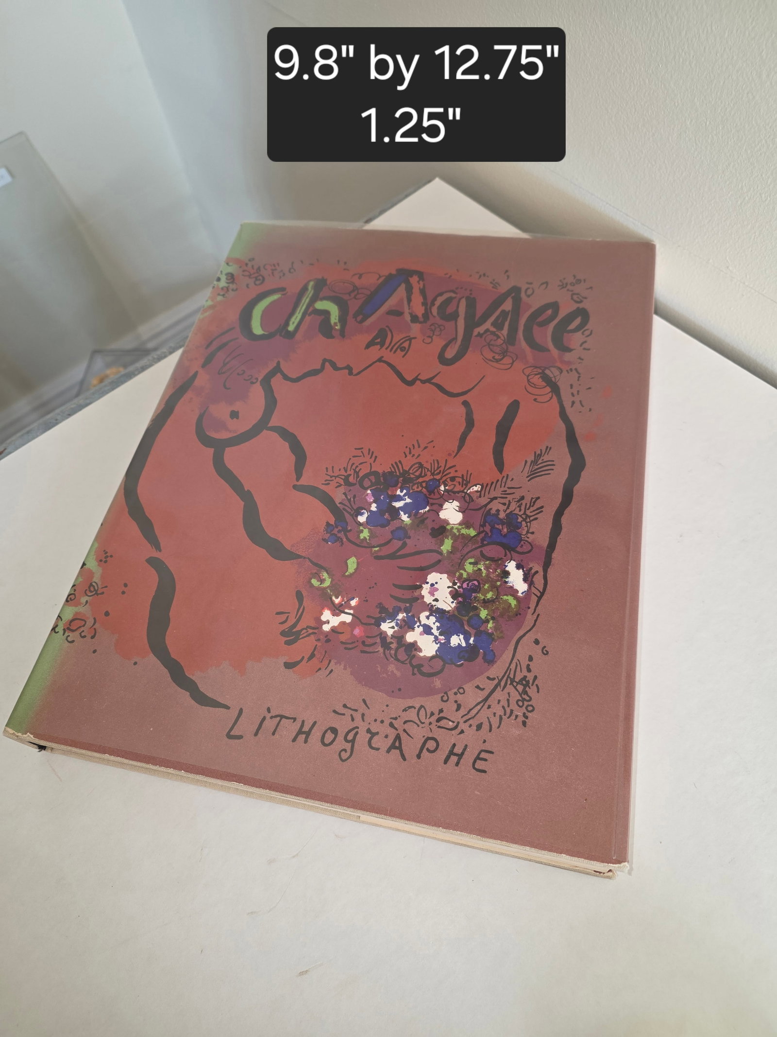 Lithographe Marc Chagall Book 1960 - 4