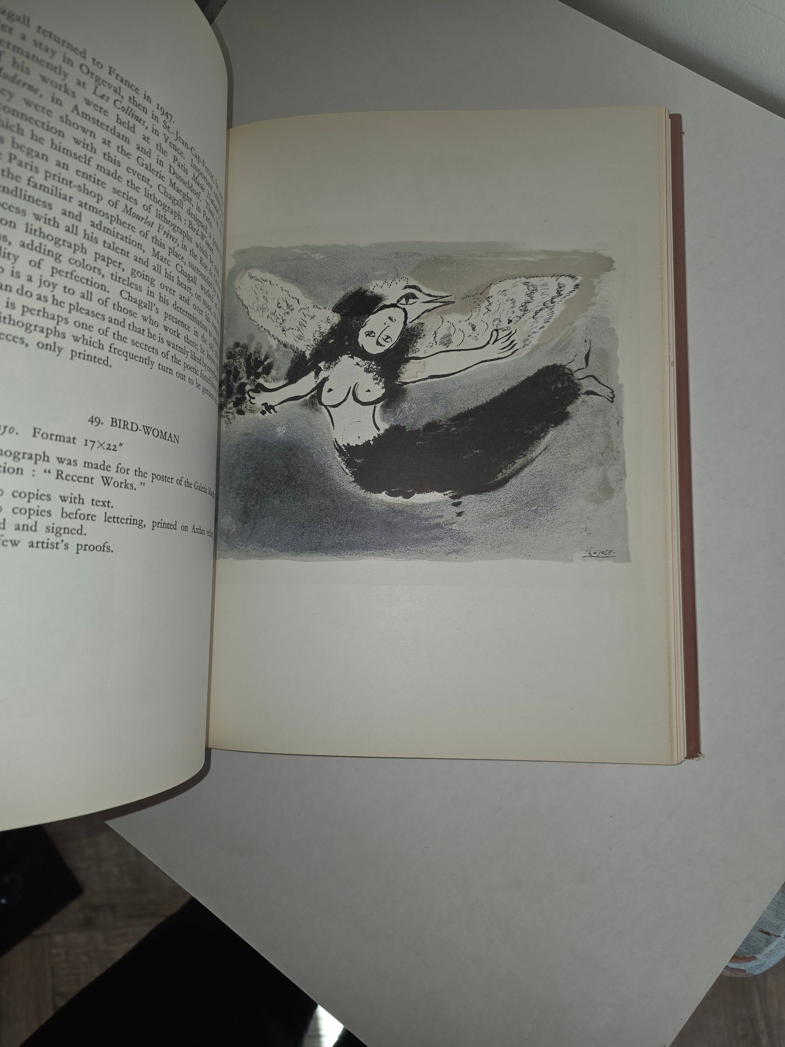 Lithographe Marc Chagall Book 1960 - 8