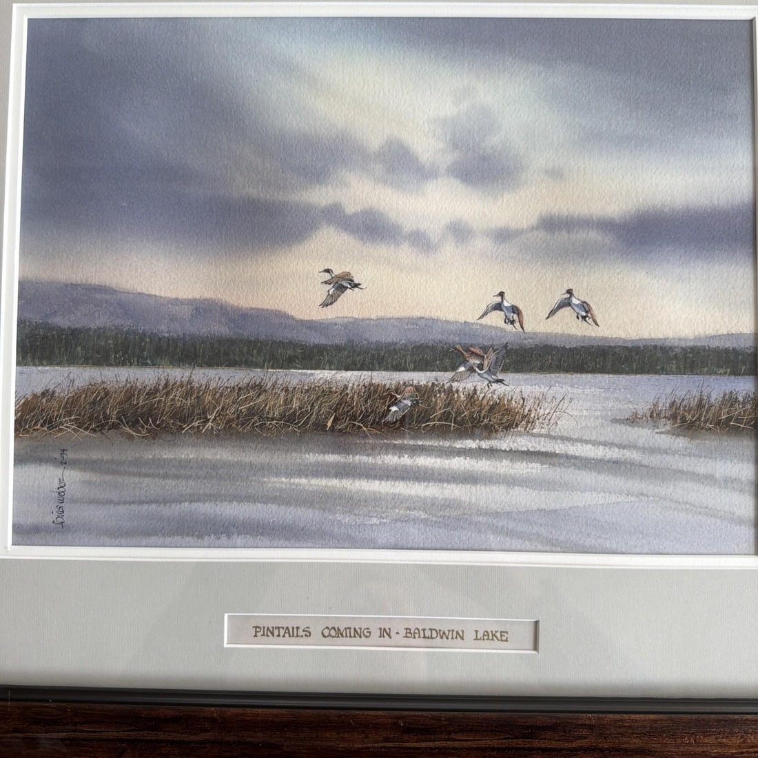 Original 1994 Signed Louis Weber Watercolor Pintails Ducks Baldwin Lake CA - 2