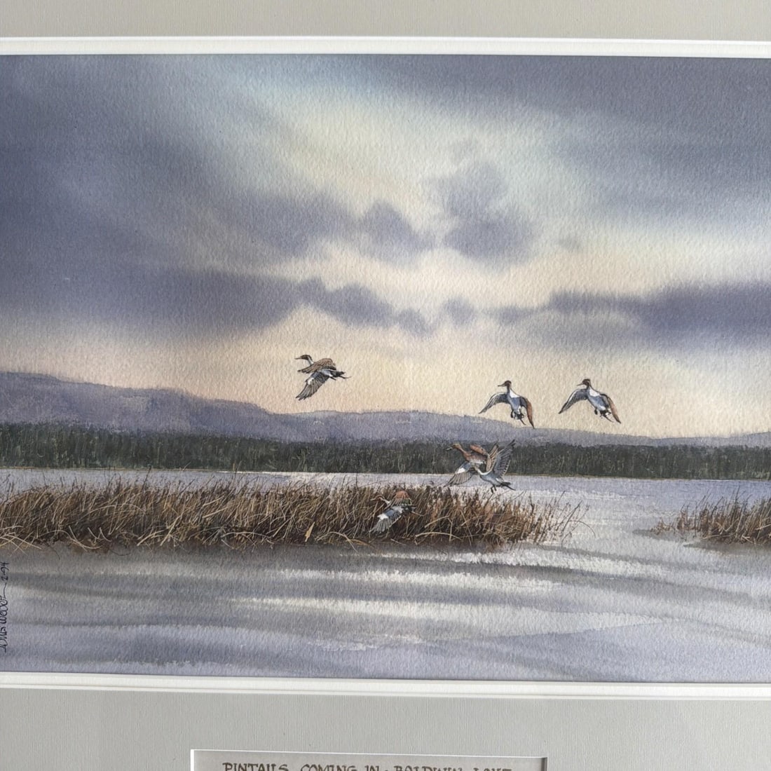 Original 1994 Signed Louis Weber Watercolor Pintails Ducks Baldwin Lake CA - 7