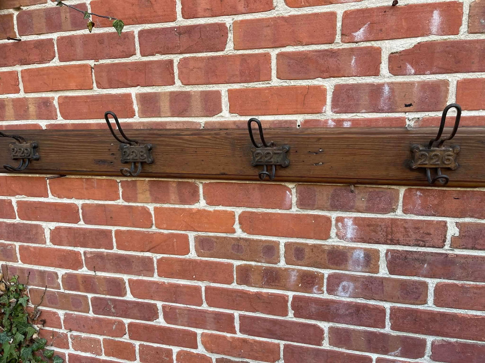 Rustic Pine Coat Hook Rack Rail – Solid Wooden Wall Mounted With Iron Hooks 1900 - 6