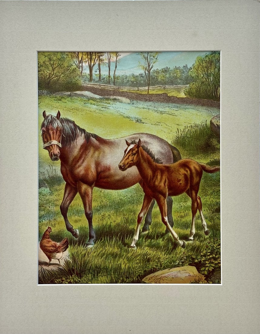 Mid 20th Century Horse & Colt Original Chromolithograph Limited Edition by Artist Russ Johnson: Original chromolithograph illustration of a brown mare and her foal in a lush pasture appears to be a mid-century advertising or art print titled "Springtime". Produced by the McLaughlin Brothers of