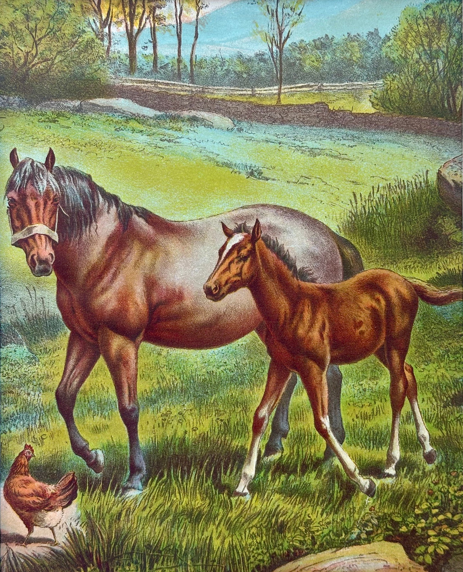 Mid 20th Century Horse & Colt Original Chromolithograph Limited Edition by Artist Russ Johnson - 2