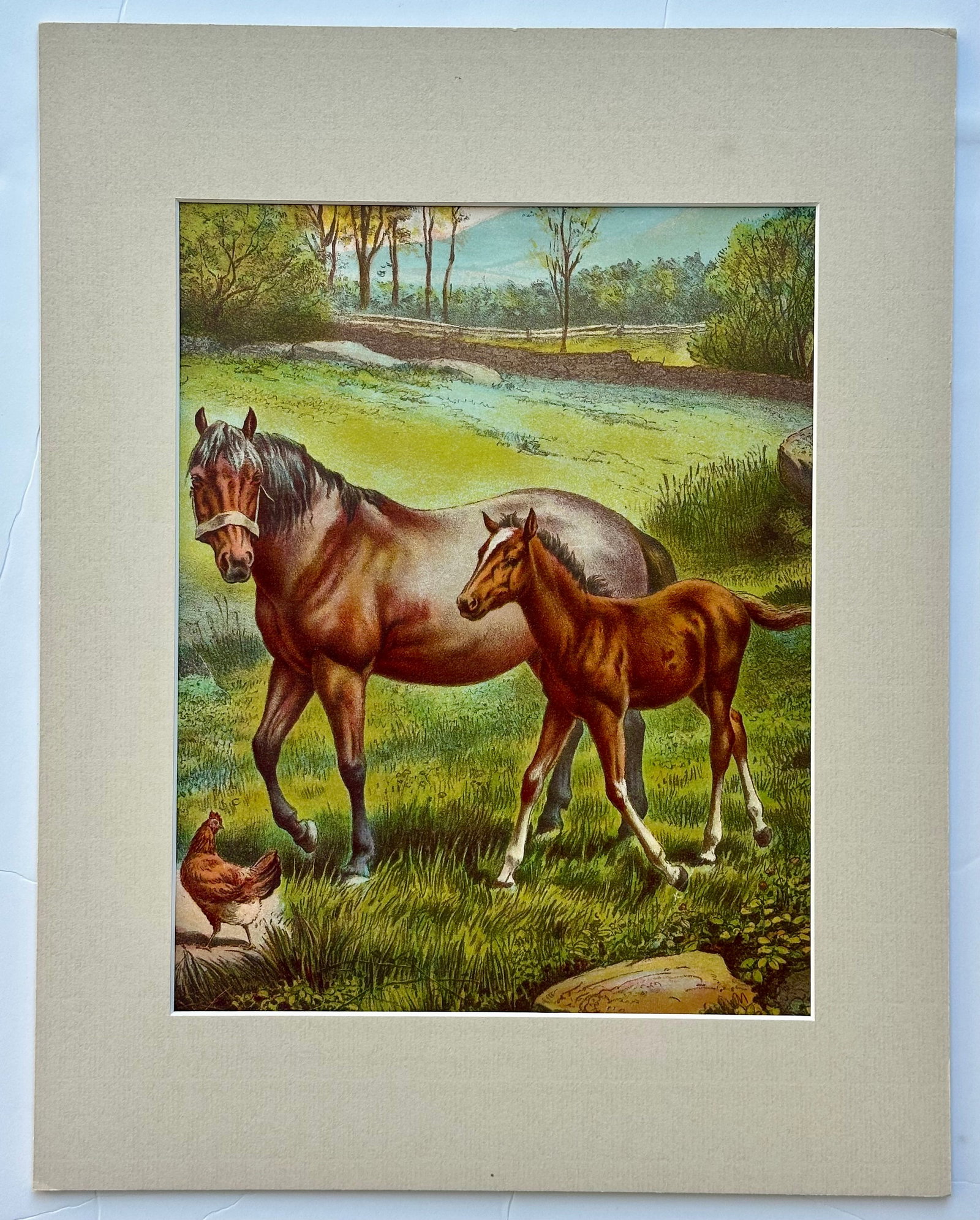 Mid 20th Century Horse & Colt Original Chromolithograph Limited Edition by Artist Russ Johnson - 3